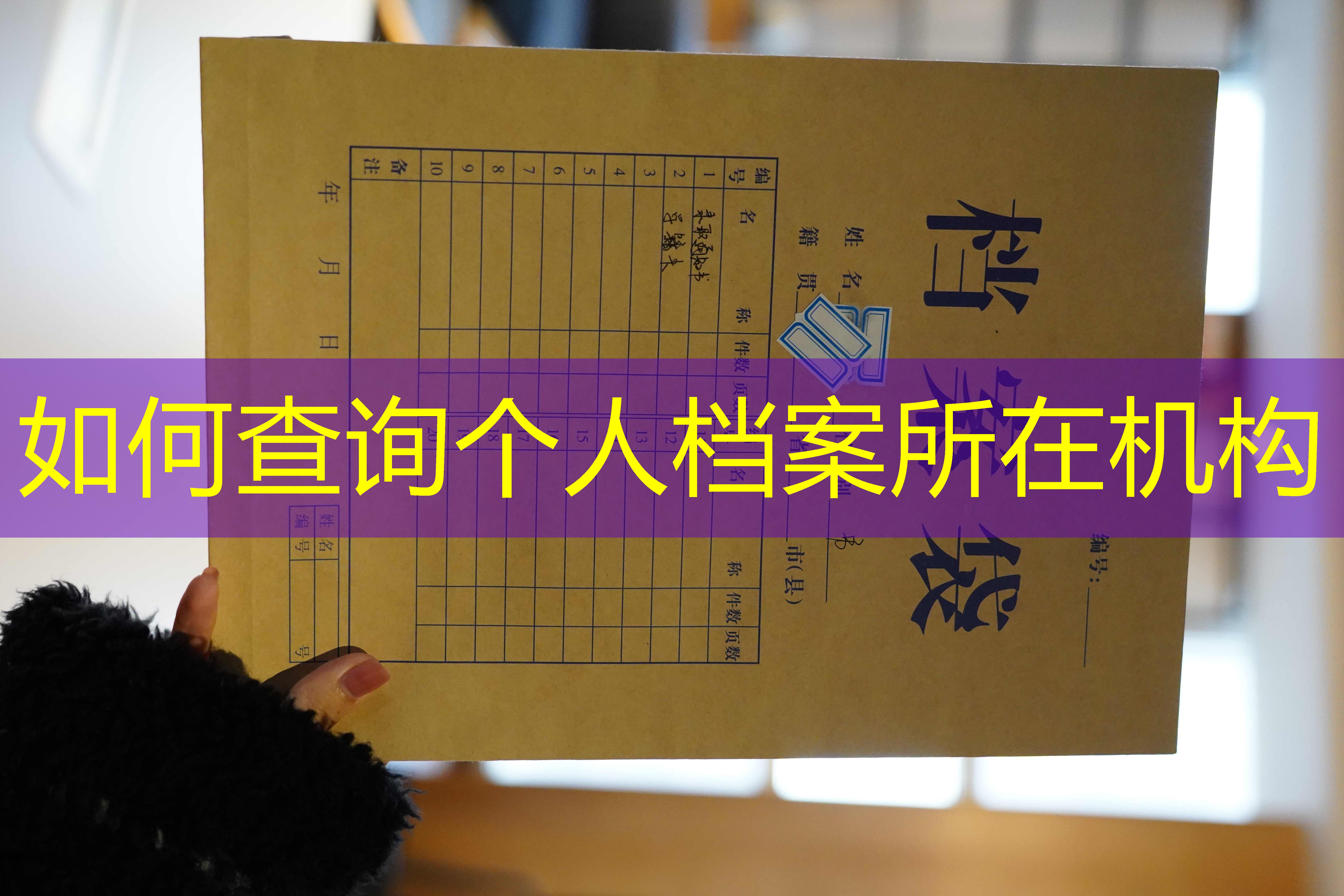 档案查询