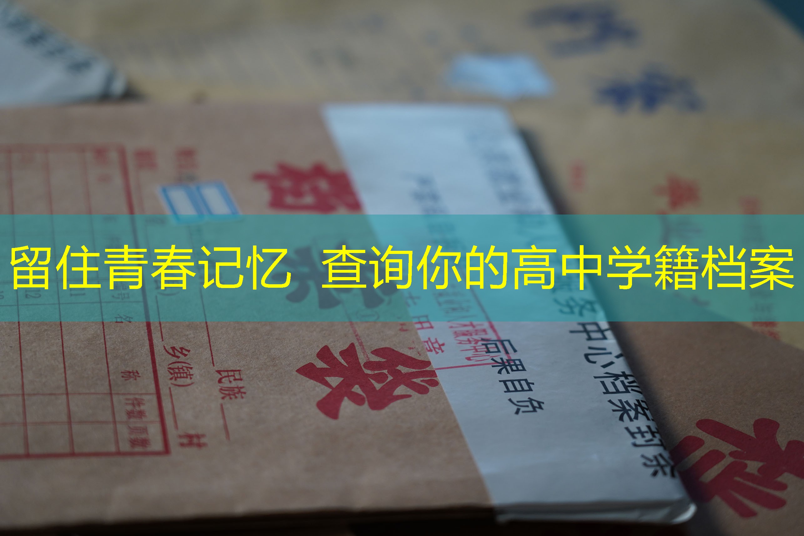 档案查询