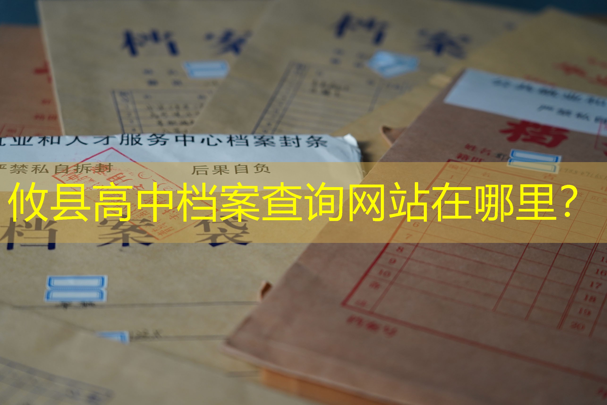 档案查询