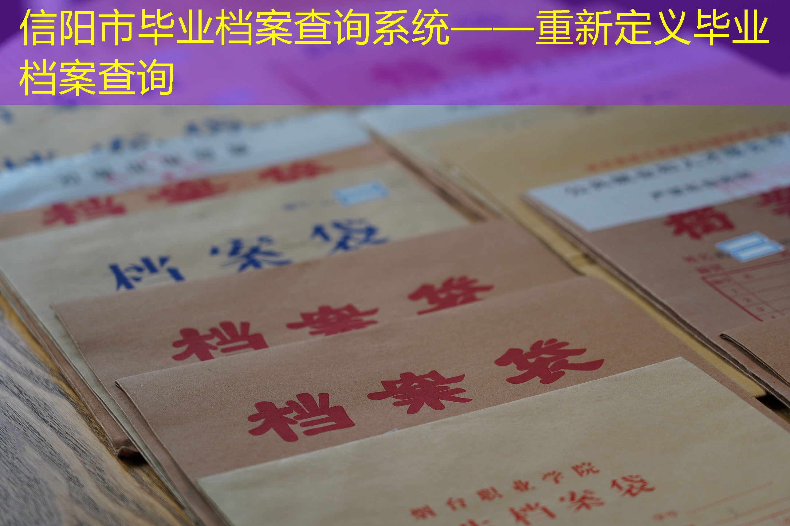 档案查询