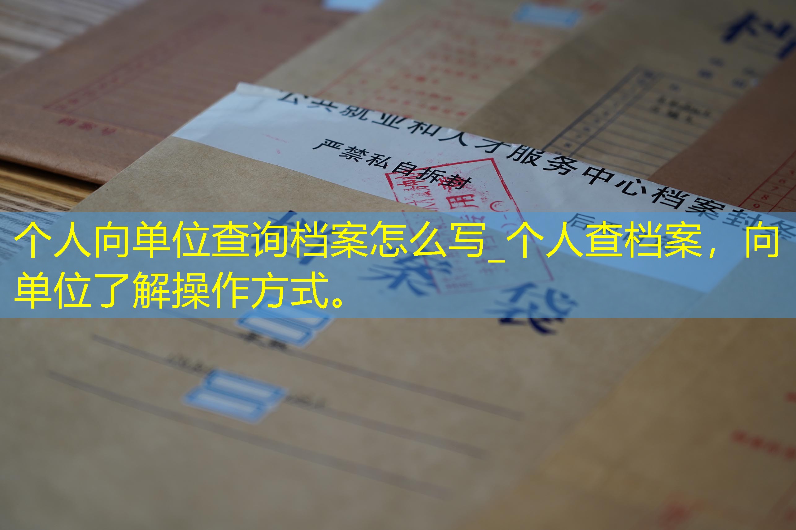 档案查询