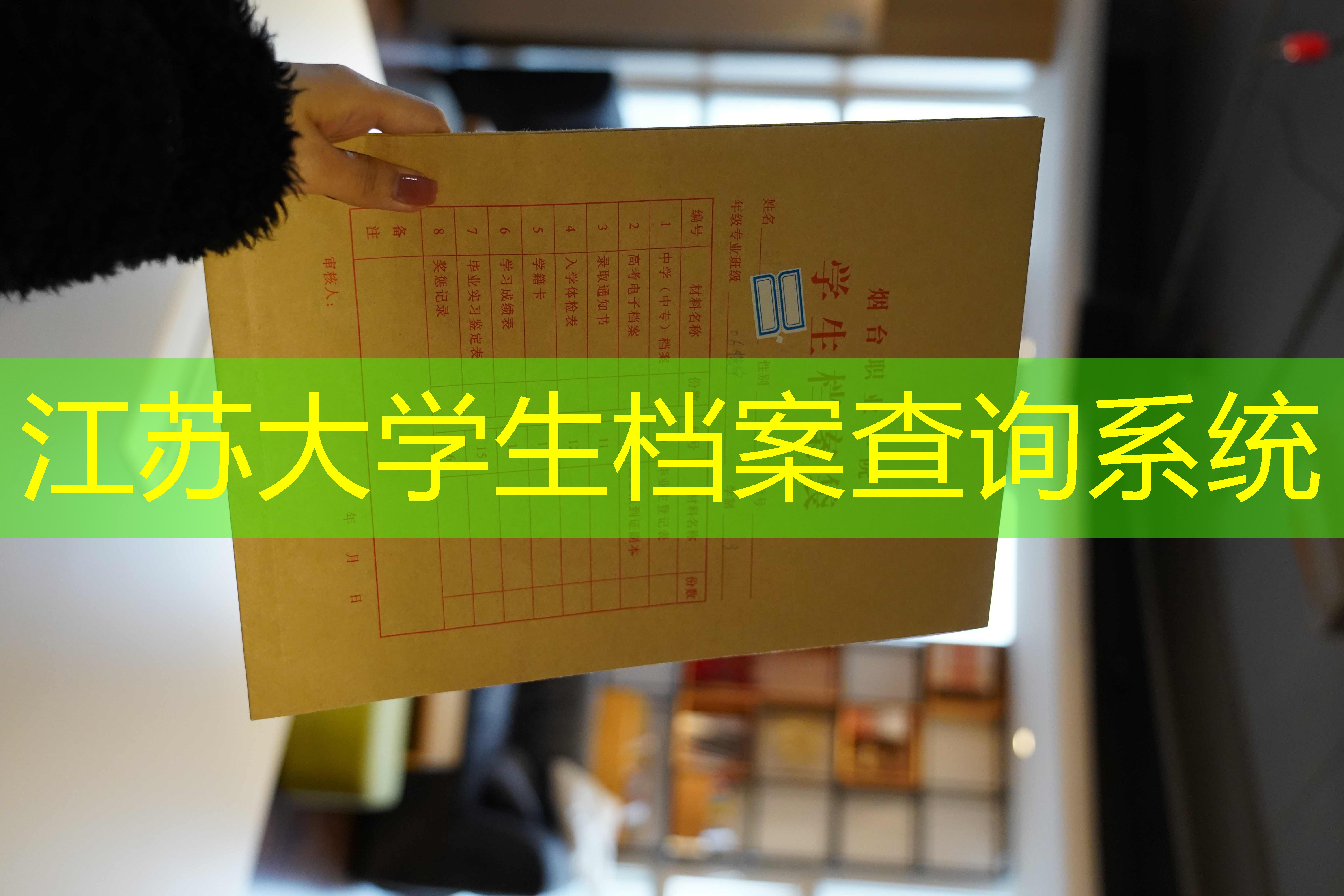 档案查询