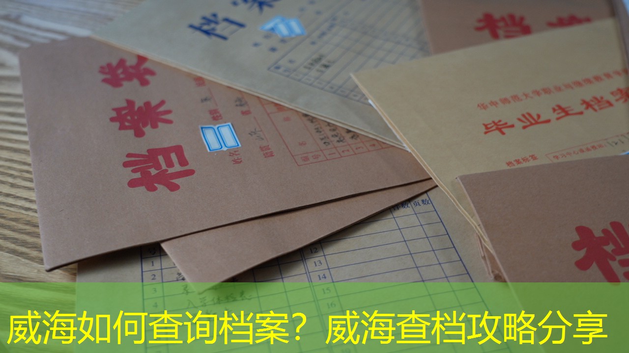档案查询
