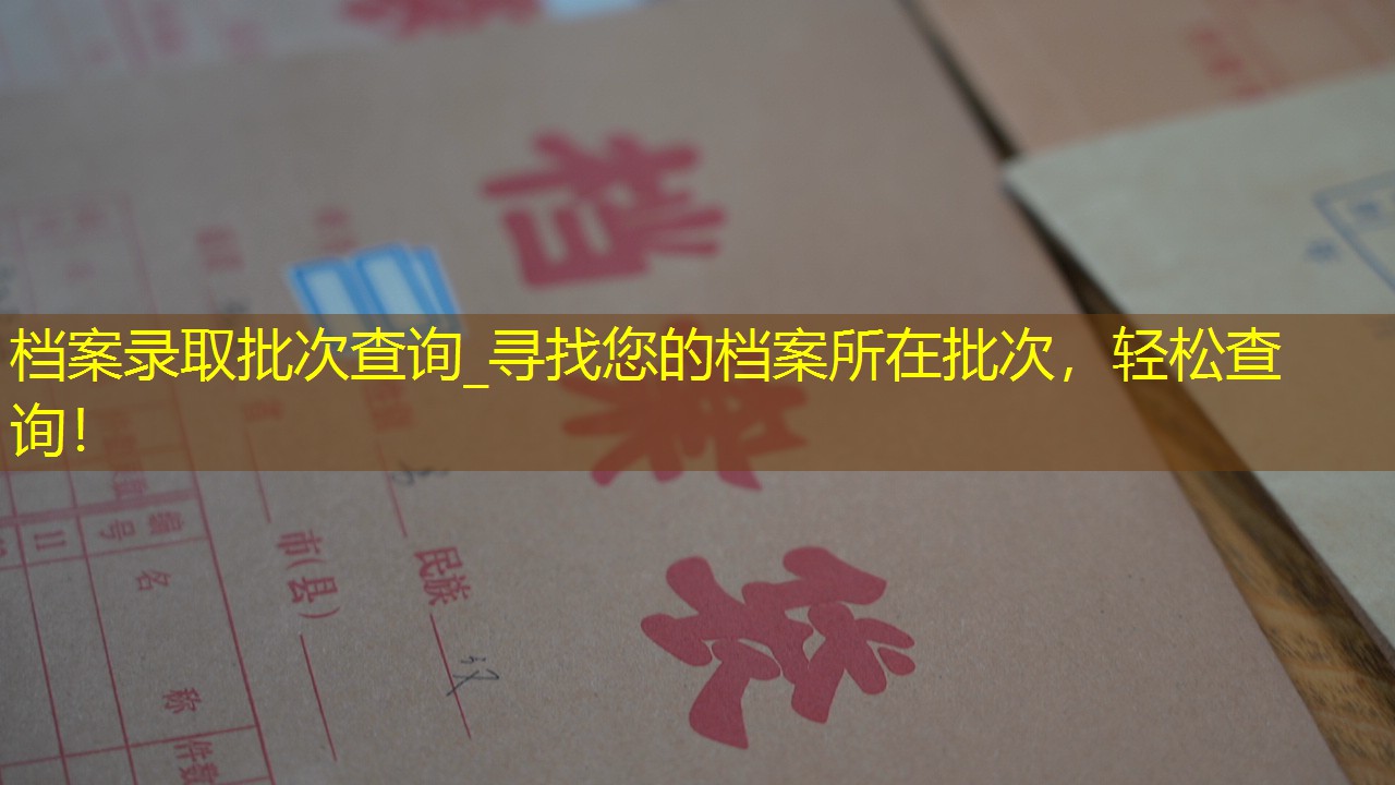 档案查询