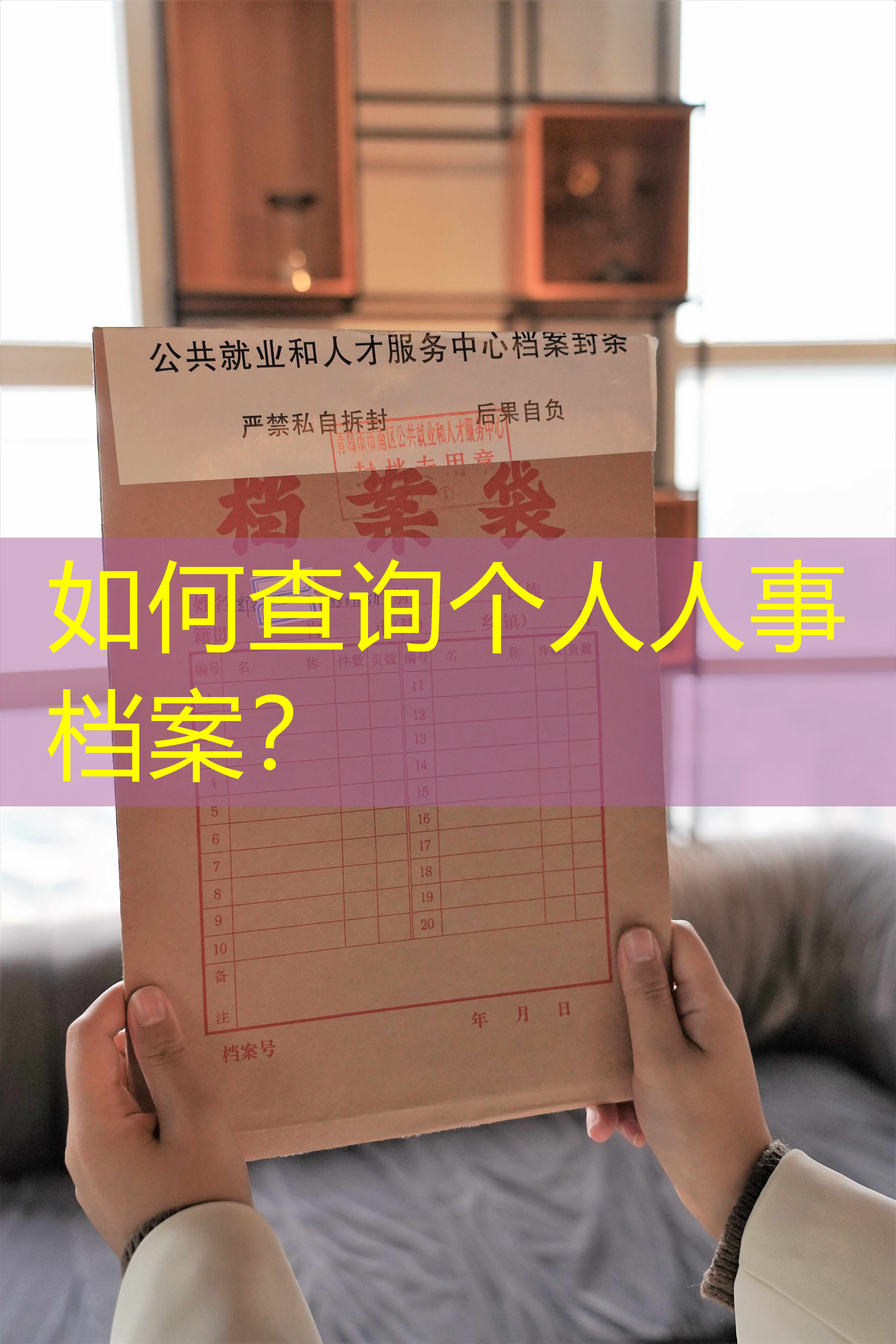 档案查询