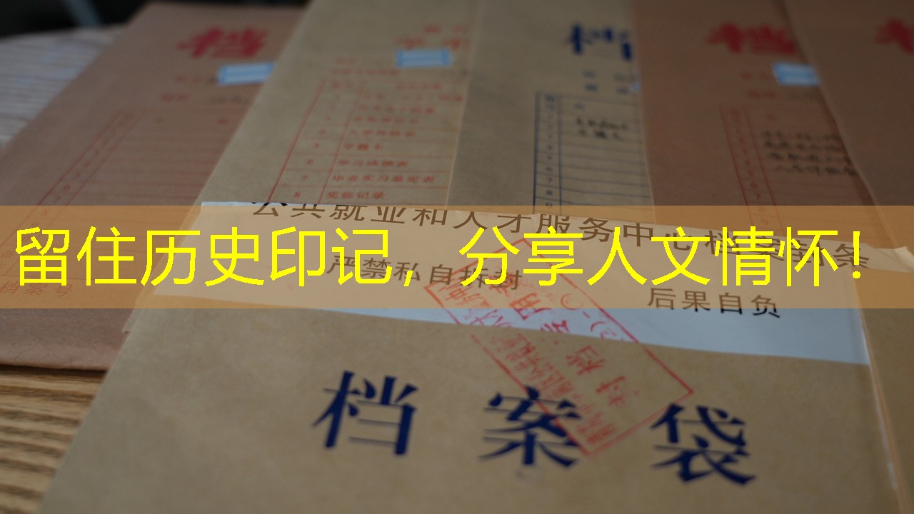 档案查询
