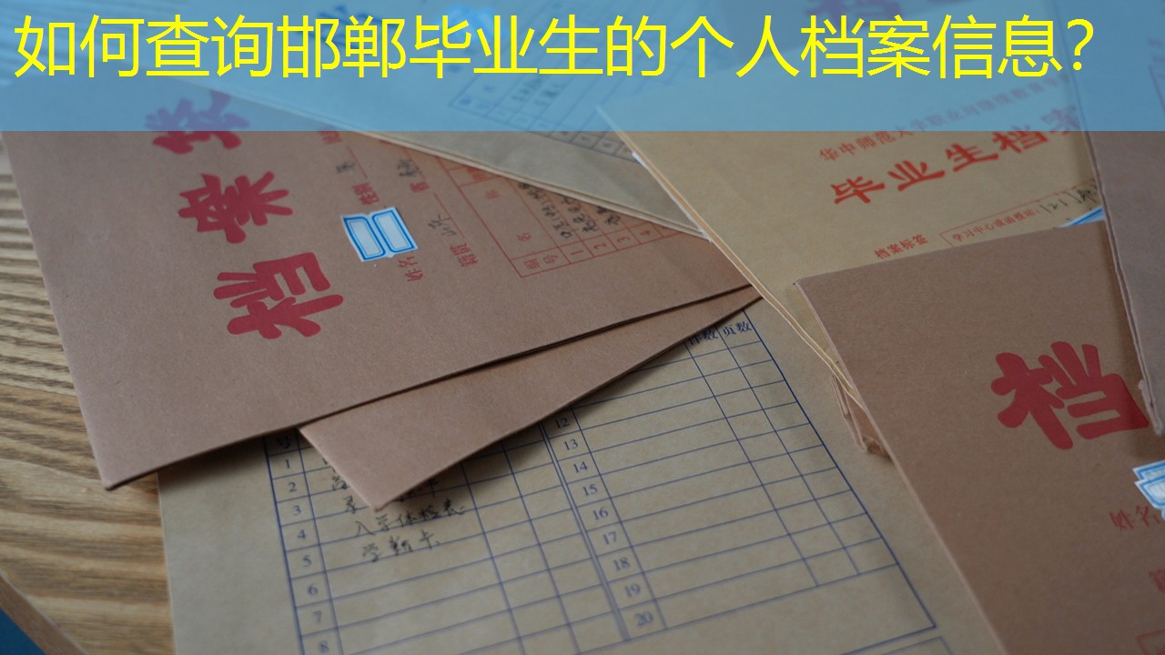 档案查询