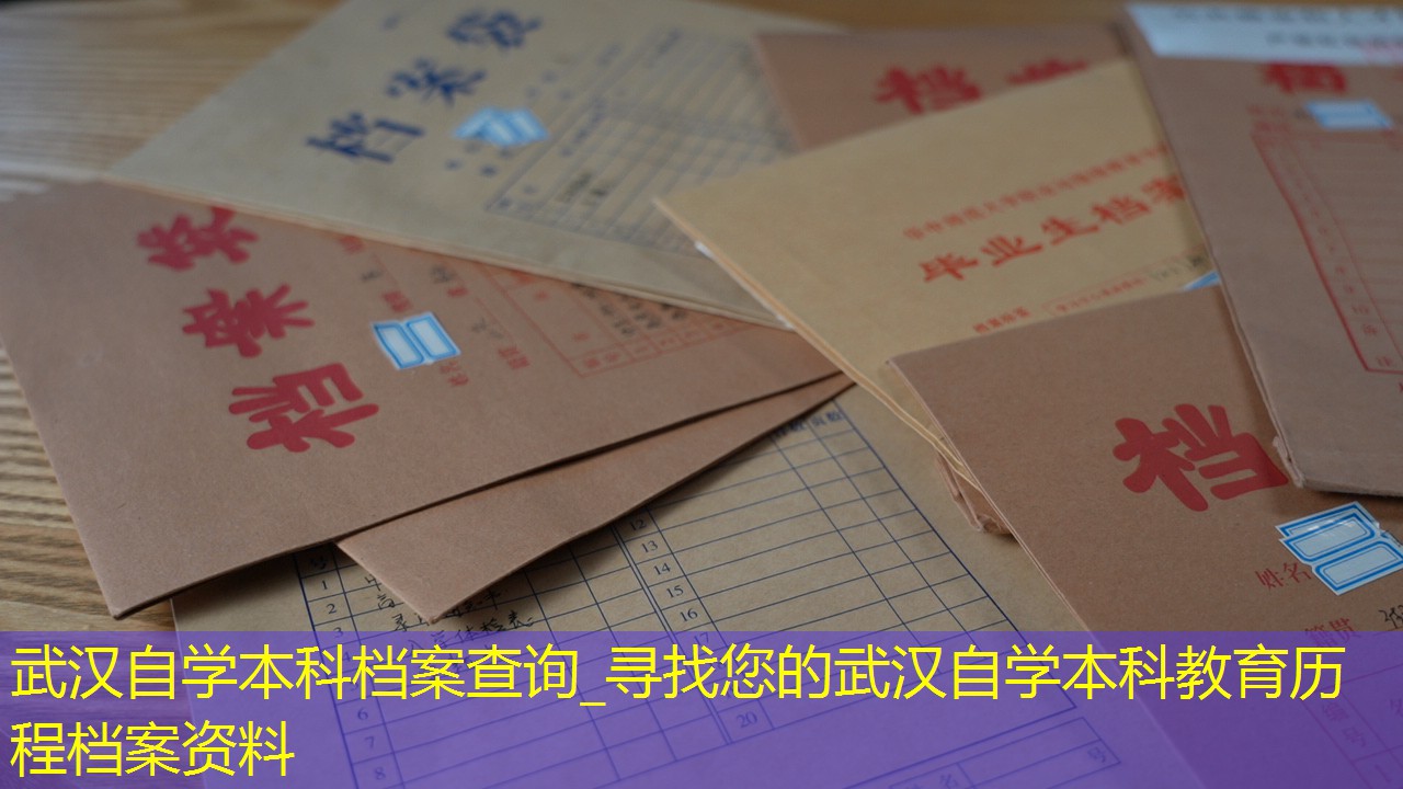 档案查询