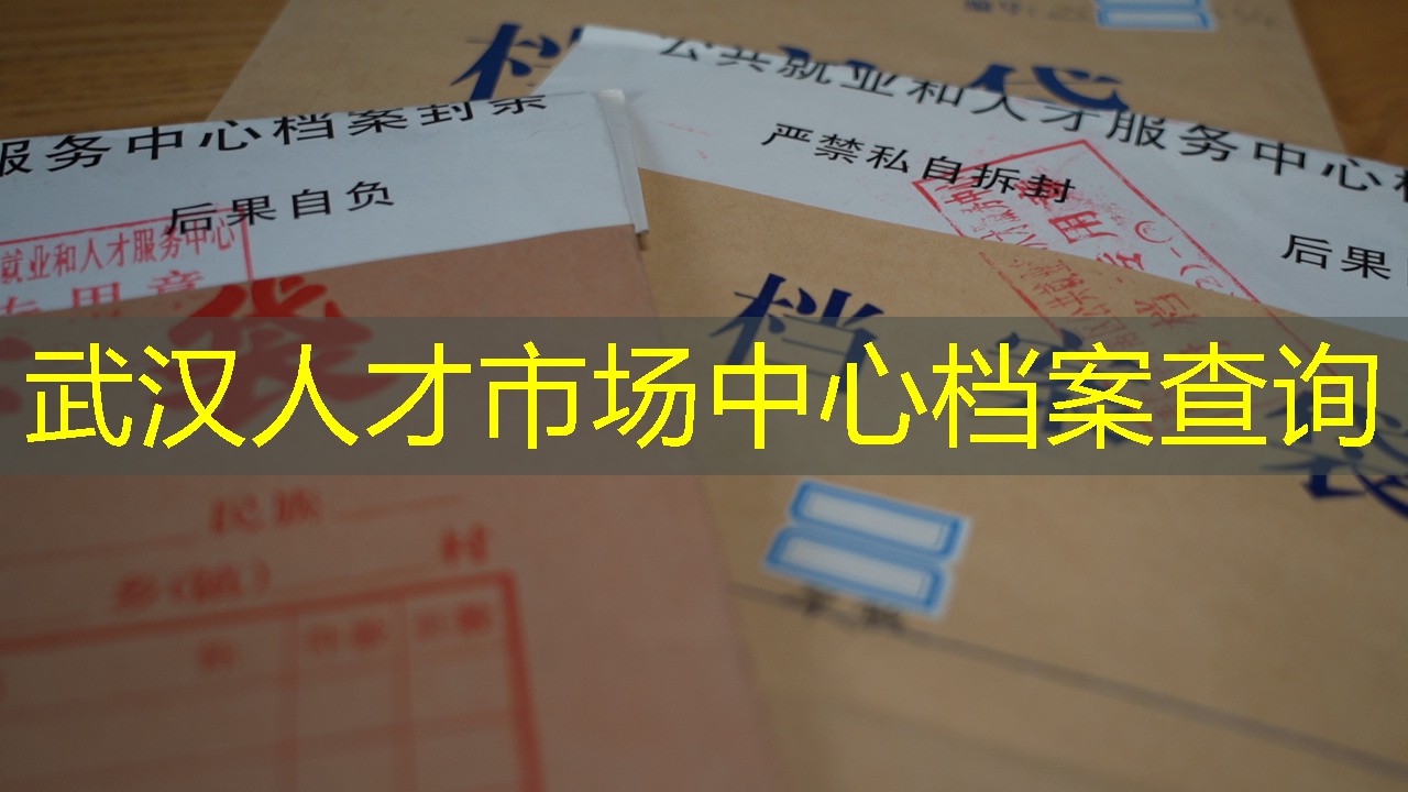 档案查询