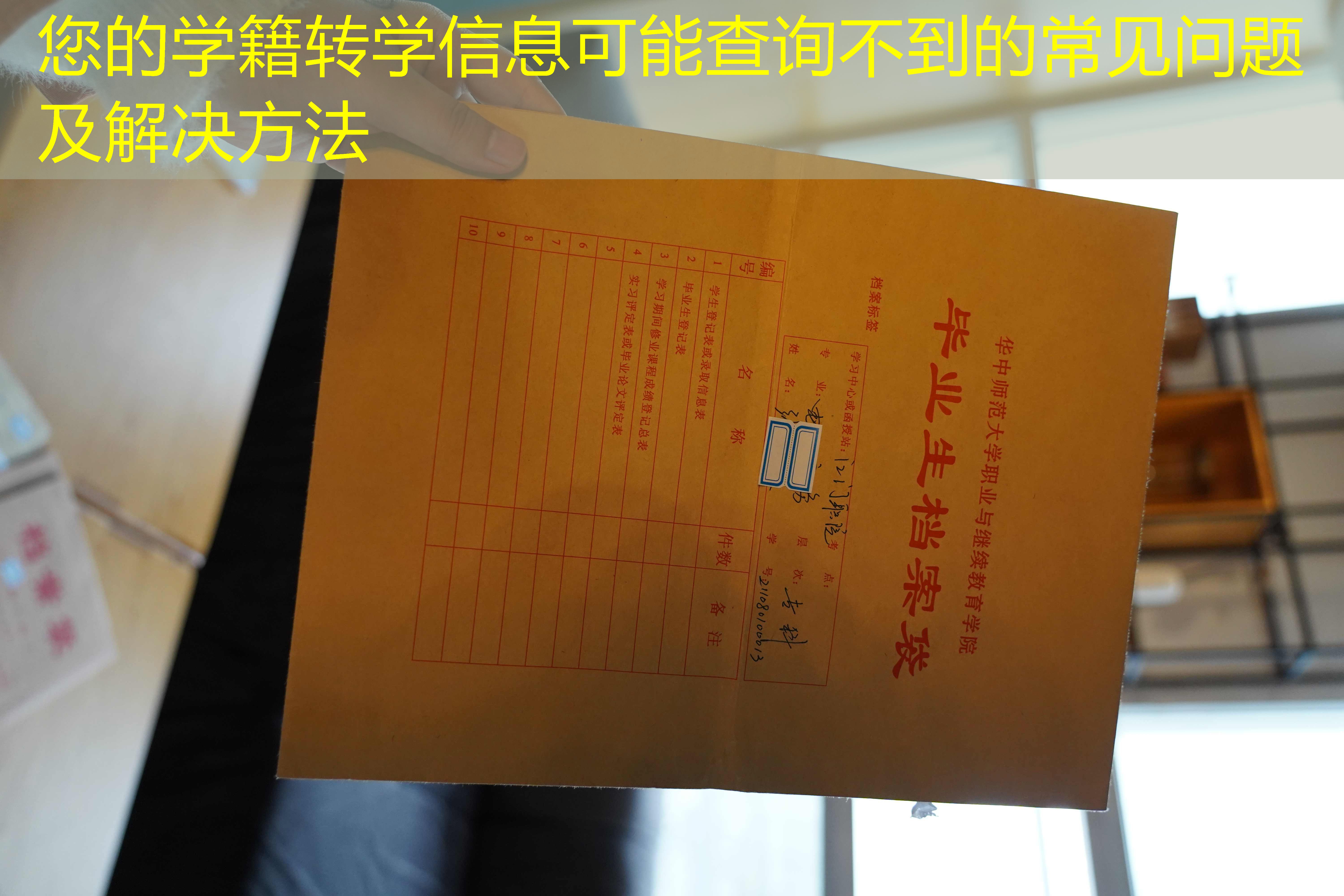 档案查询