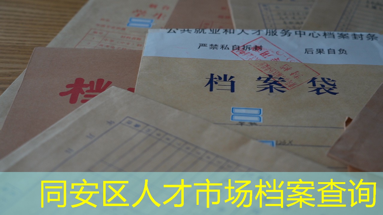 档案查询