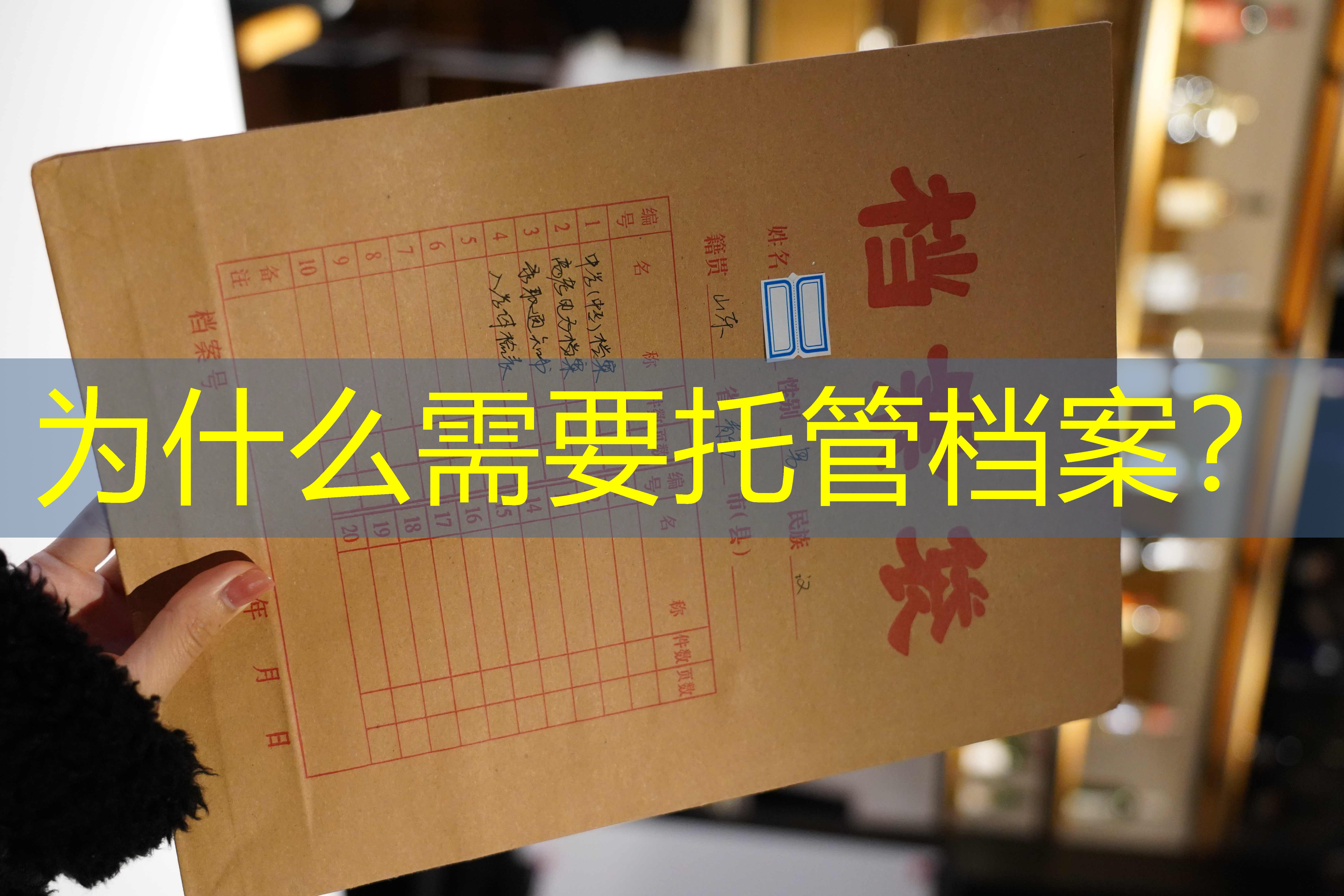 档案查询