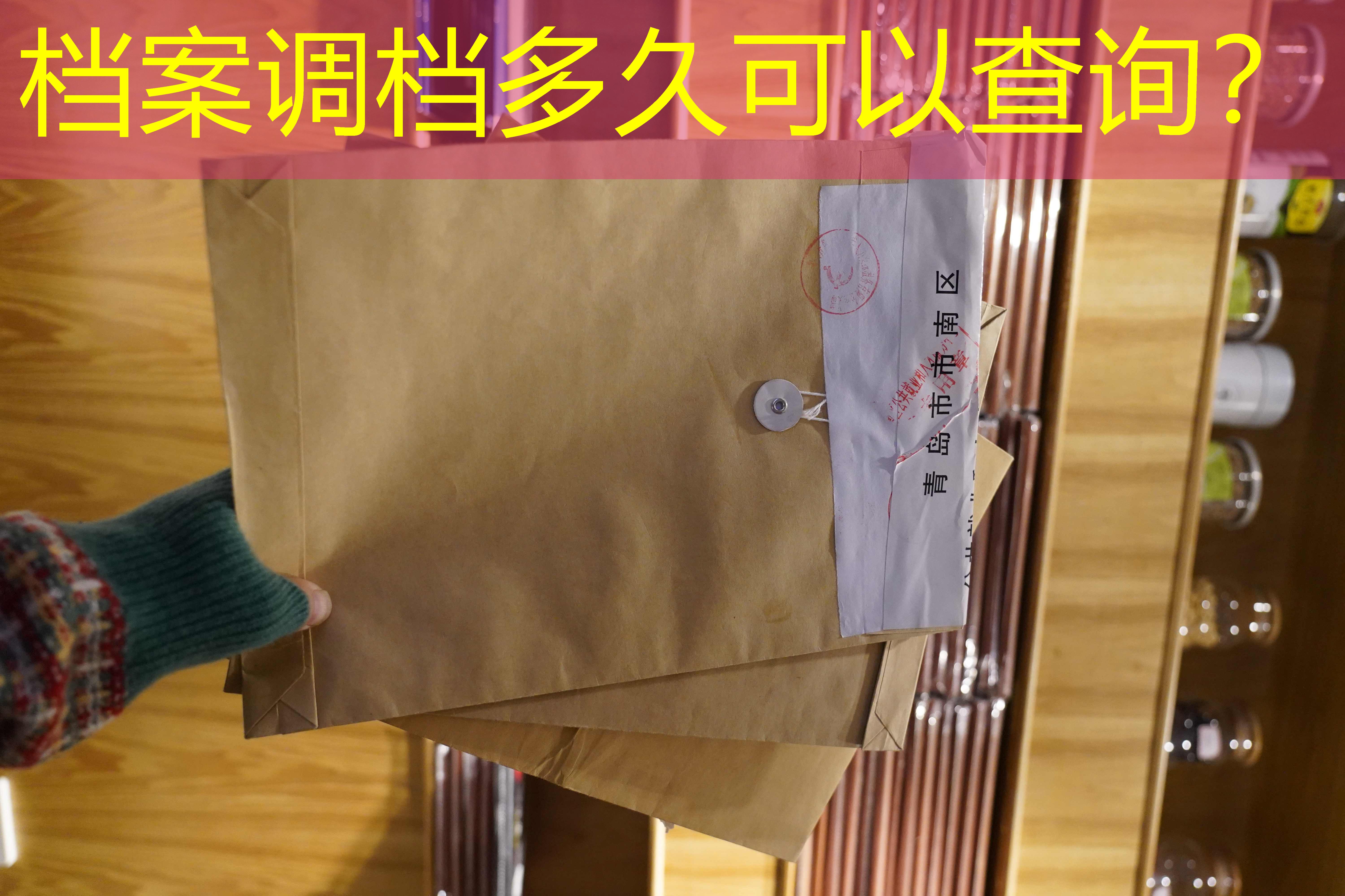 档案查询