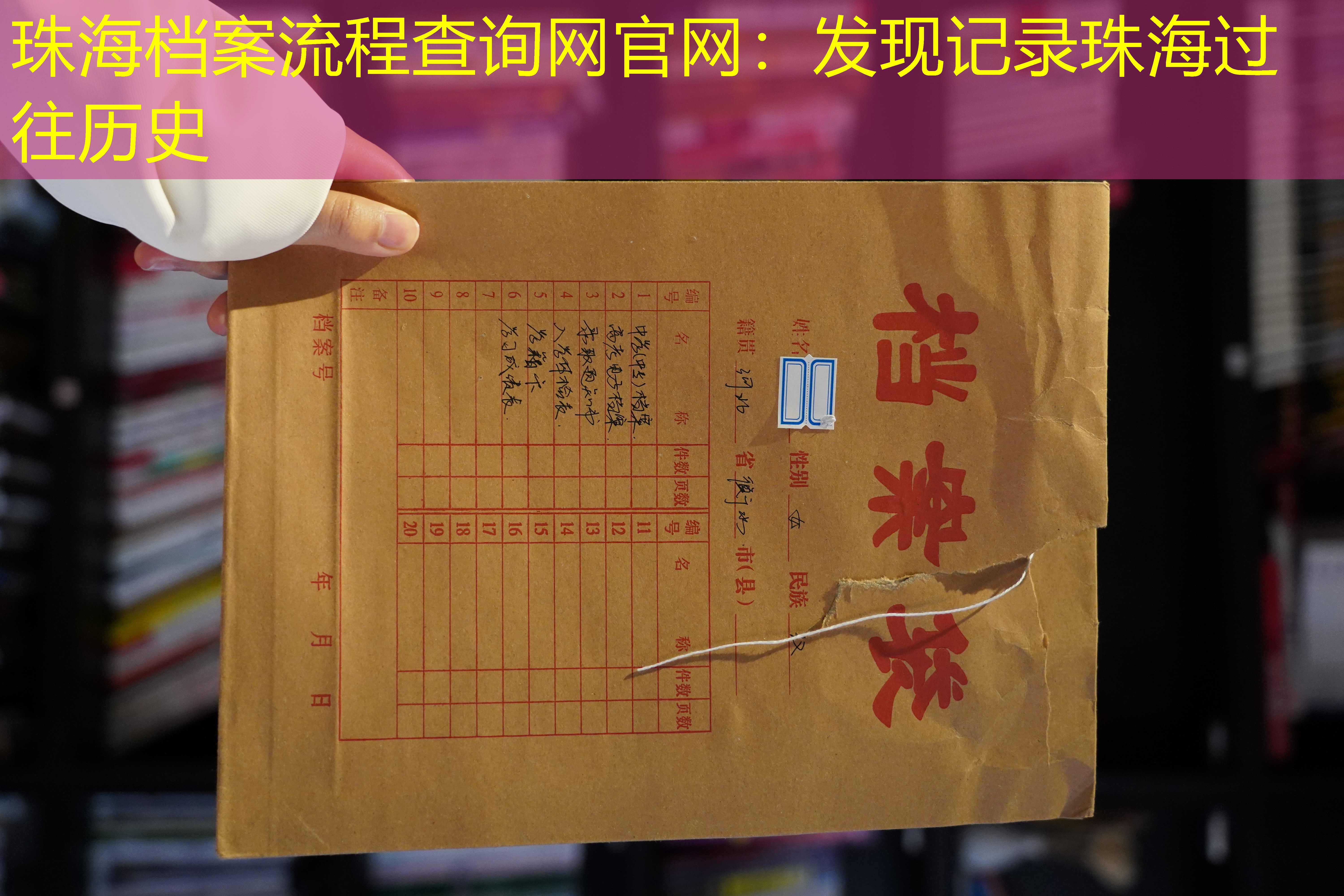 档案查询