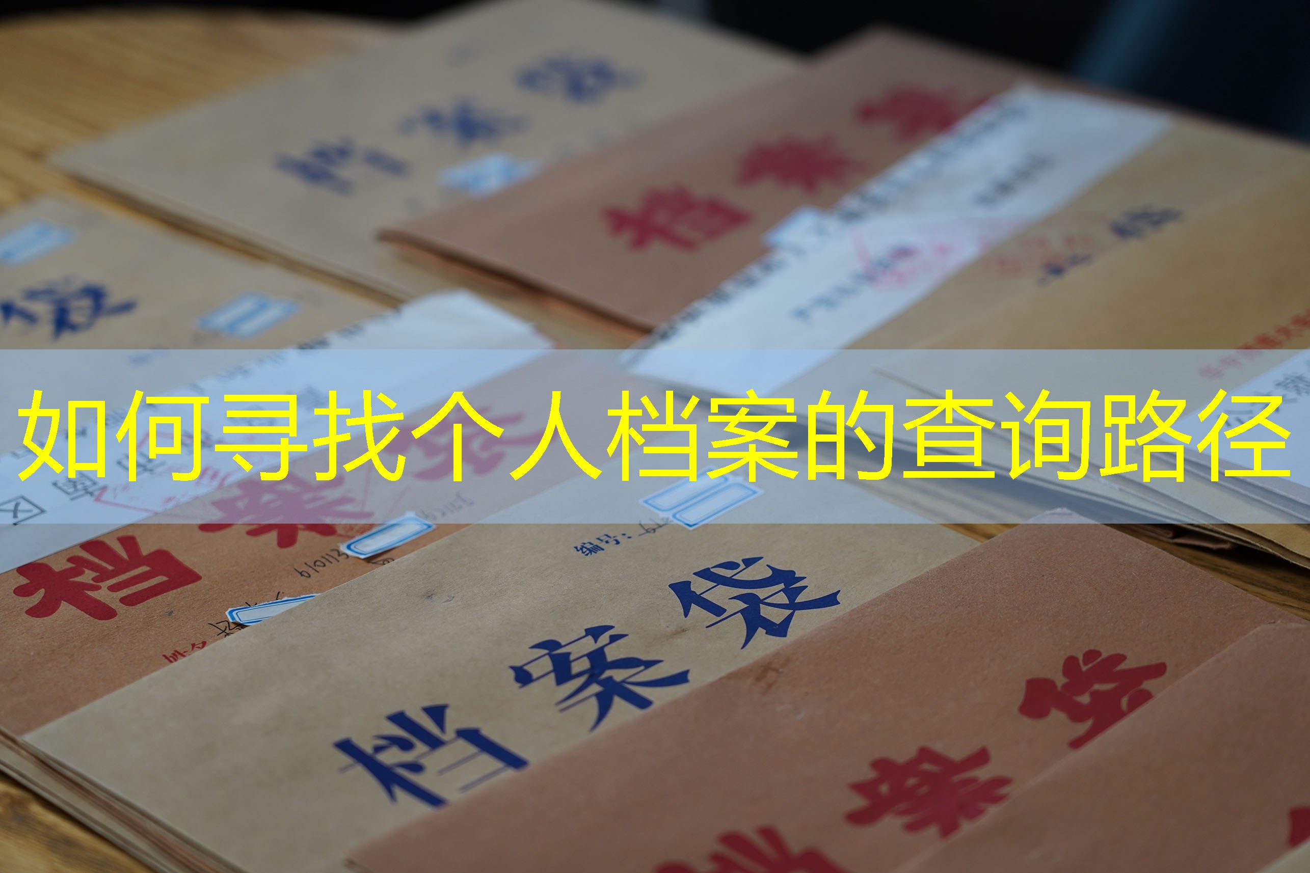 档案查询