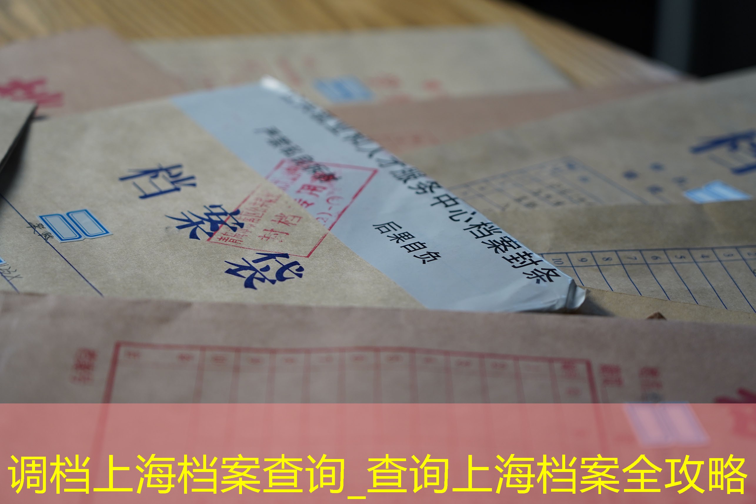 档案查询