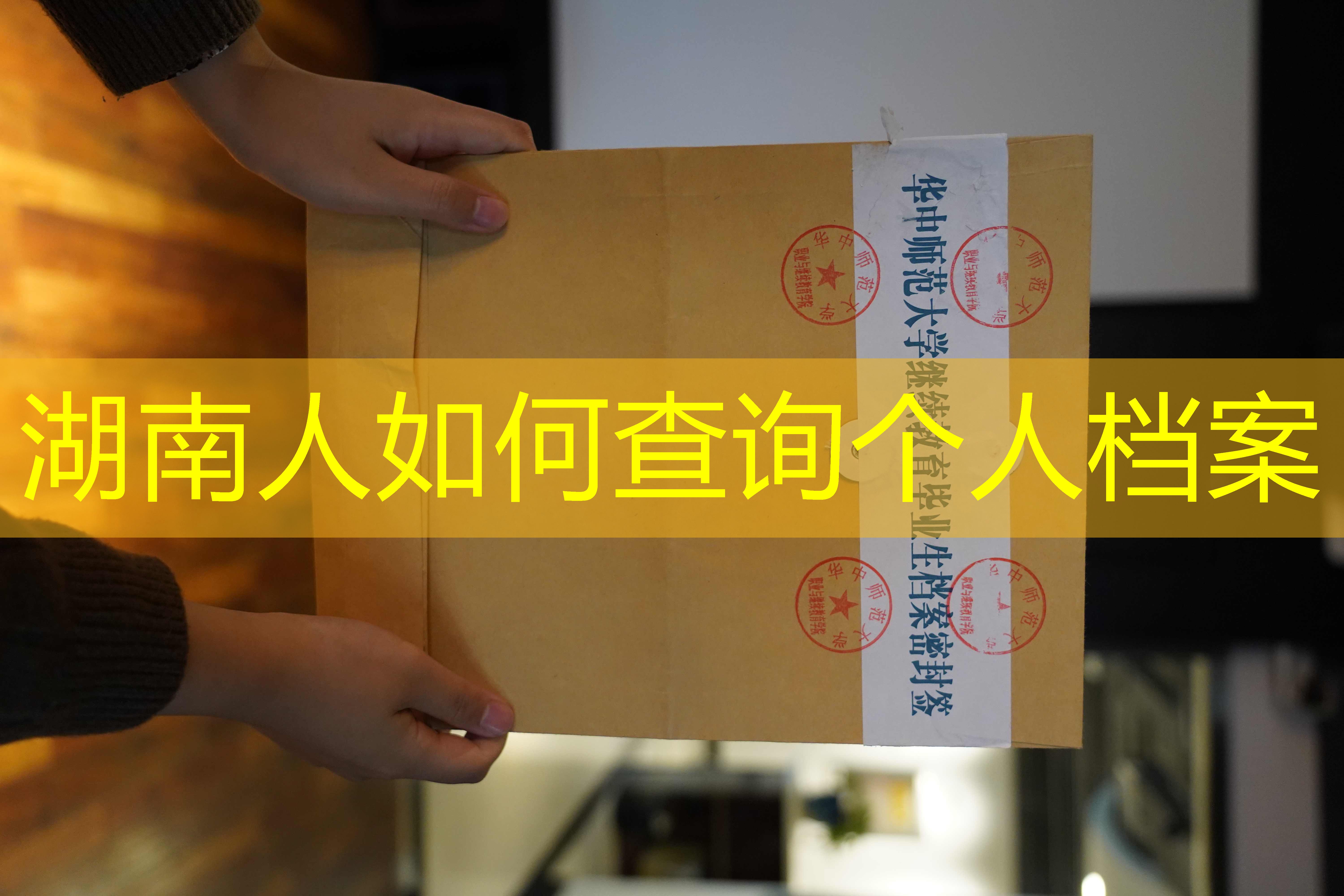 档案查询