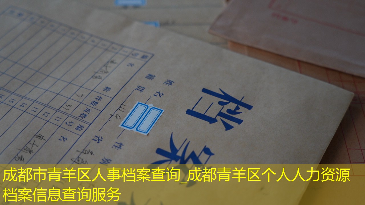 档案查询