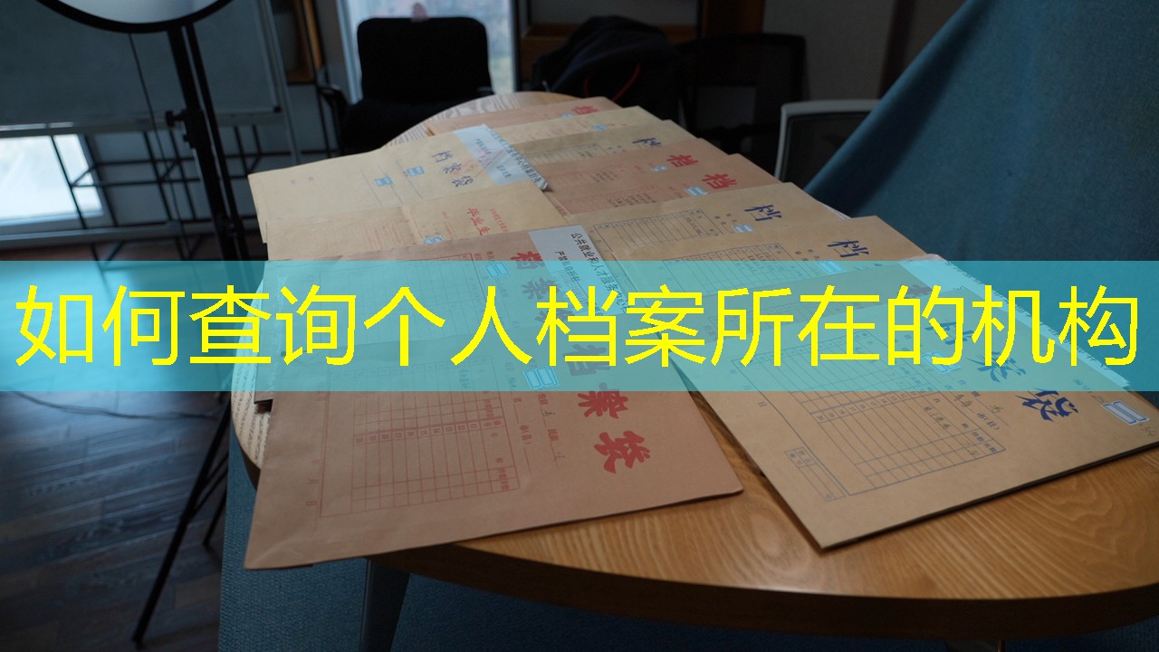 档案查询