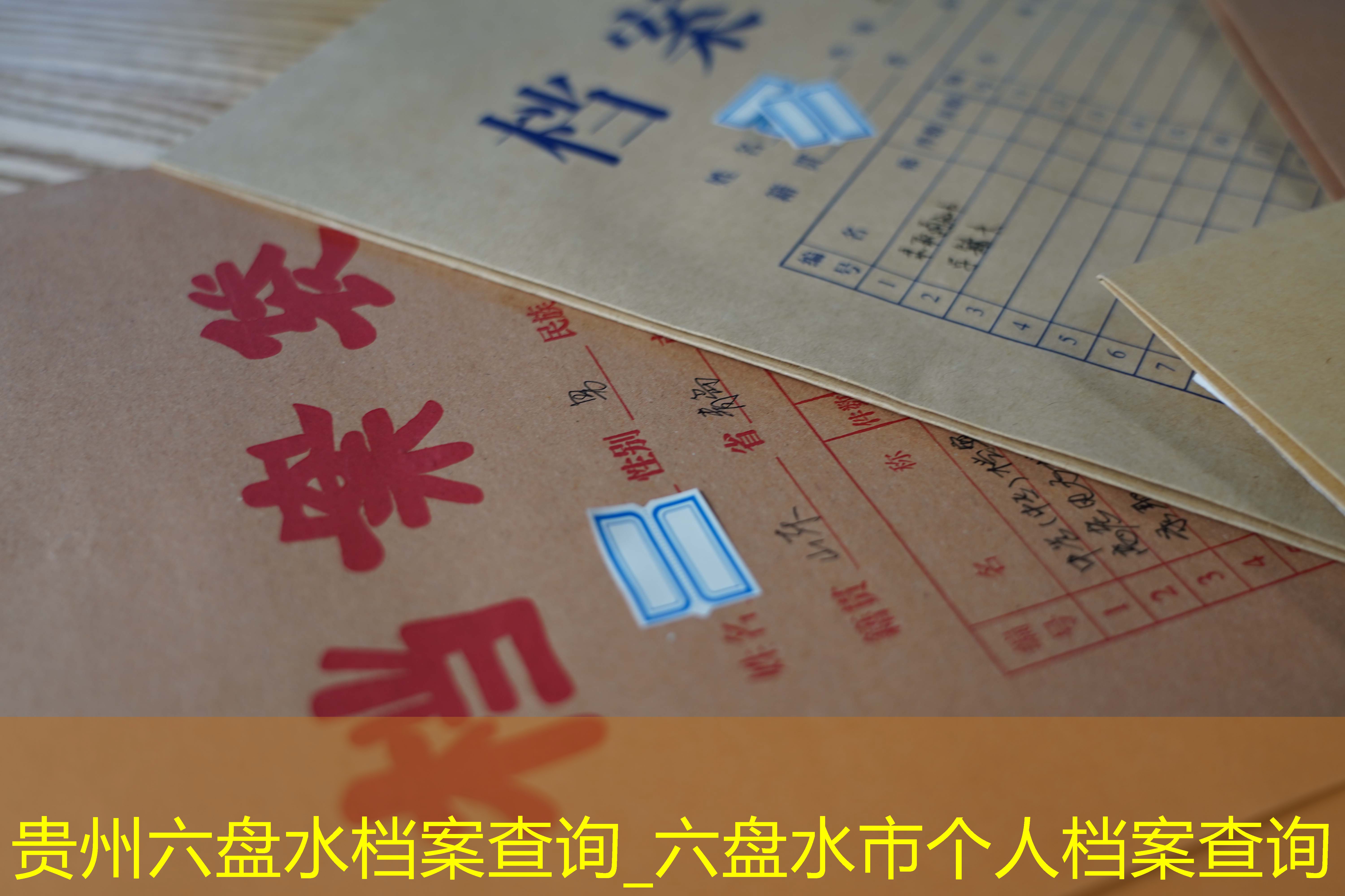 档案查询
