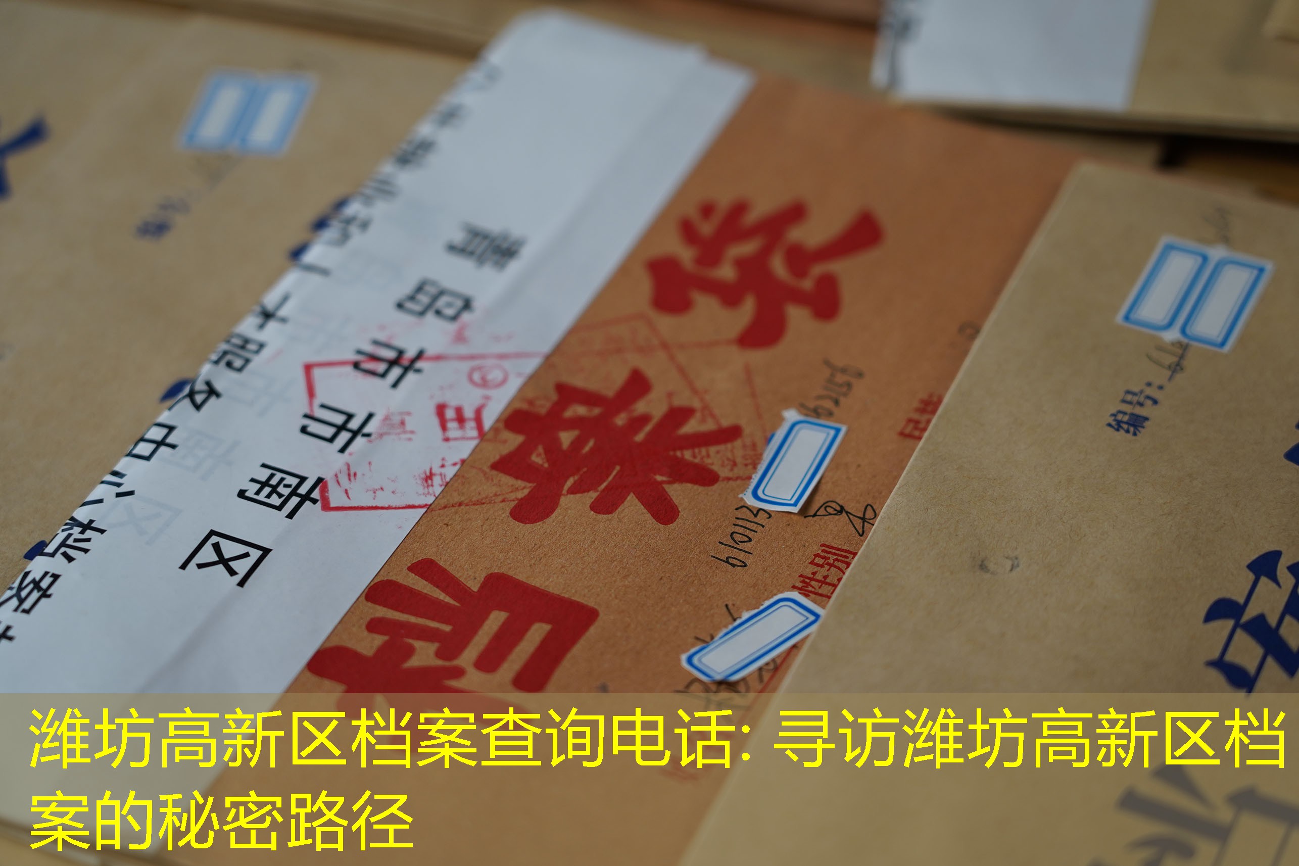 档案查询