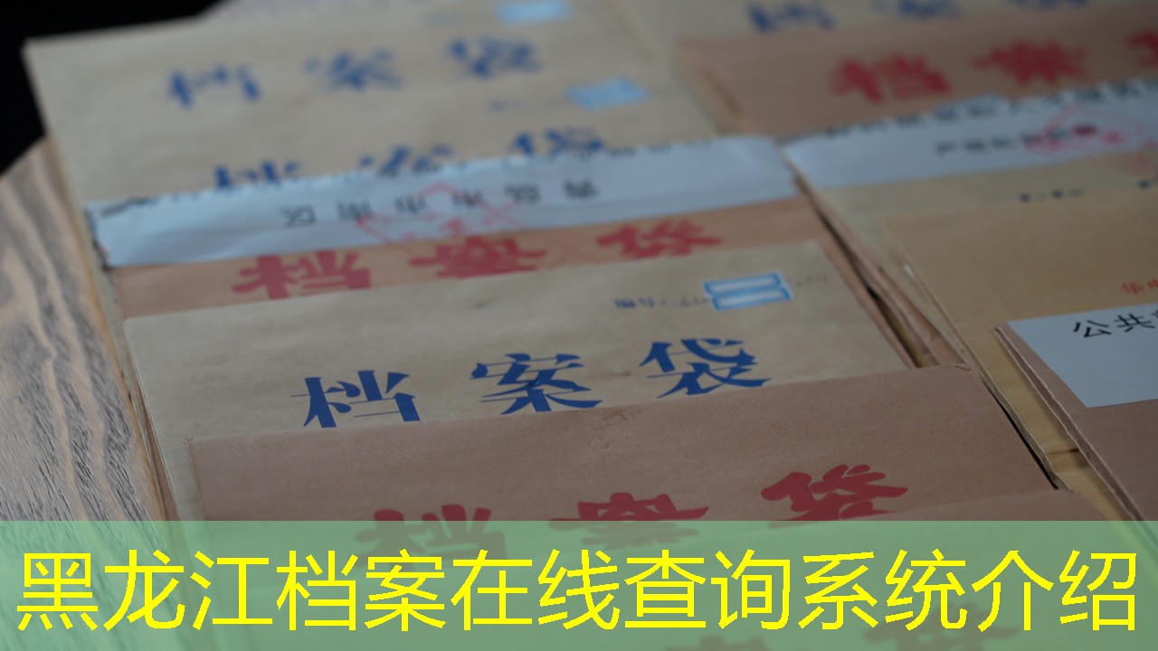 档案查询