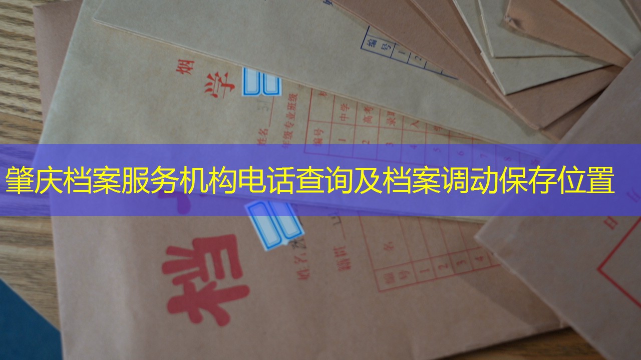 档案查询