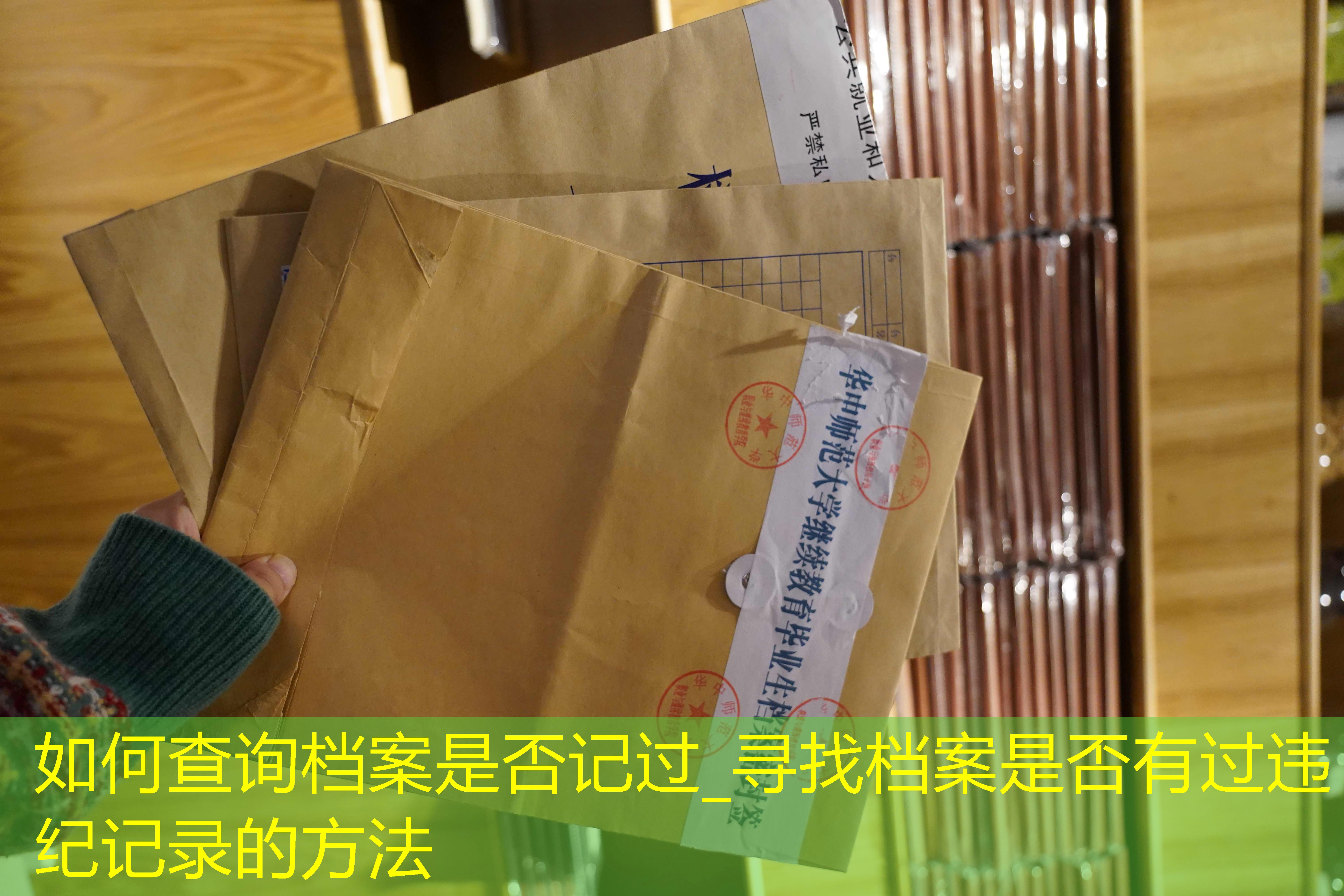 档案查询