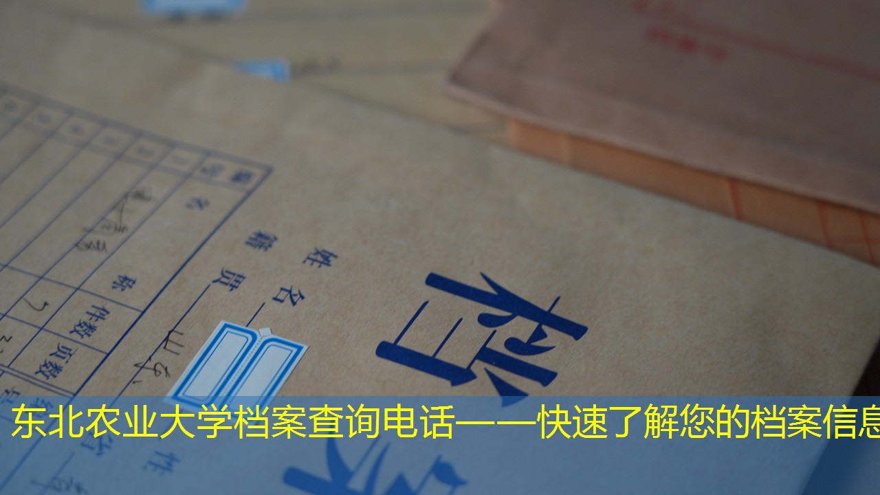 档案查询