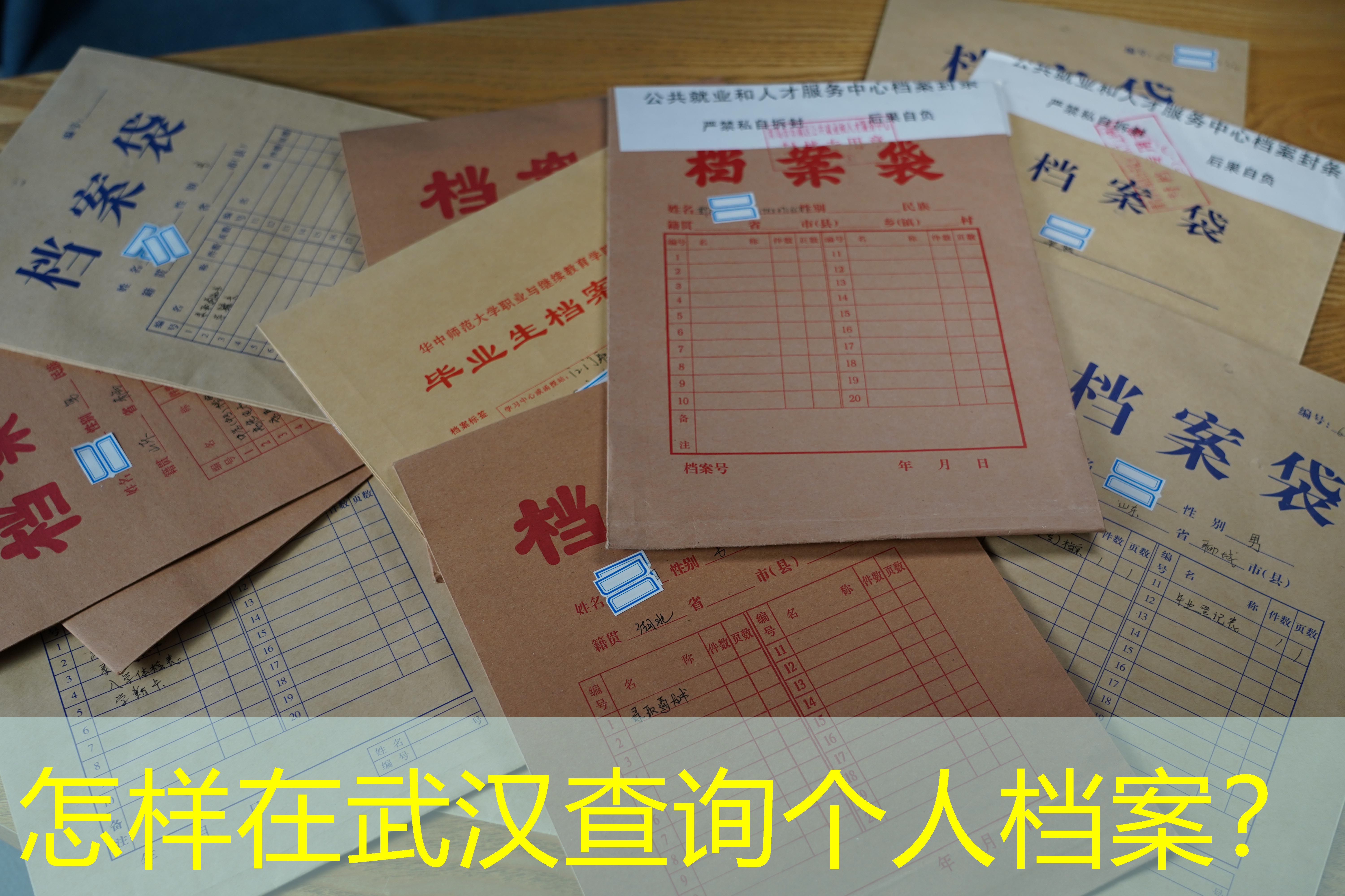 档案查询