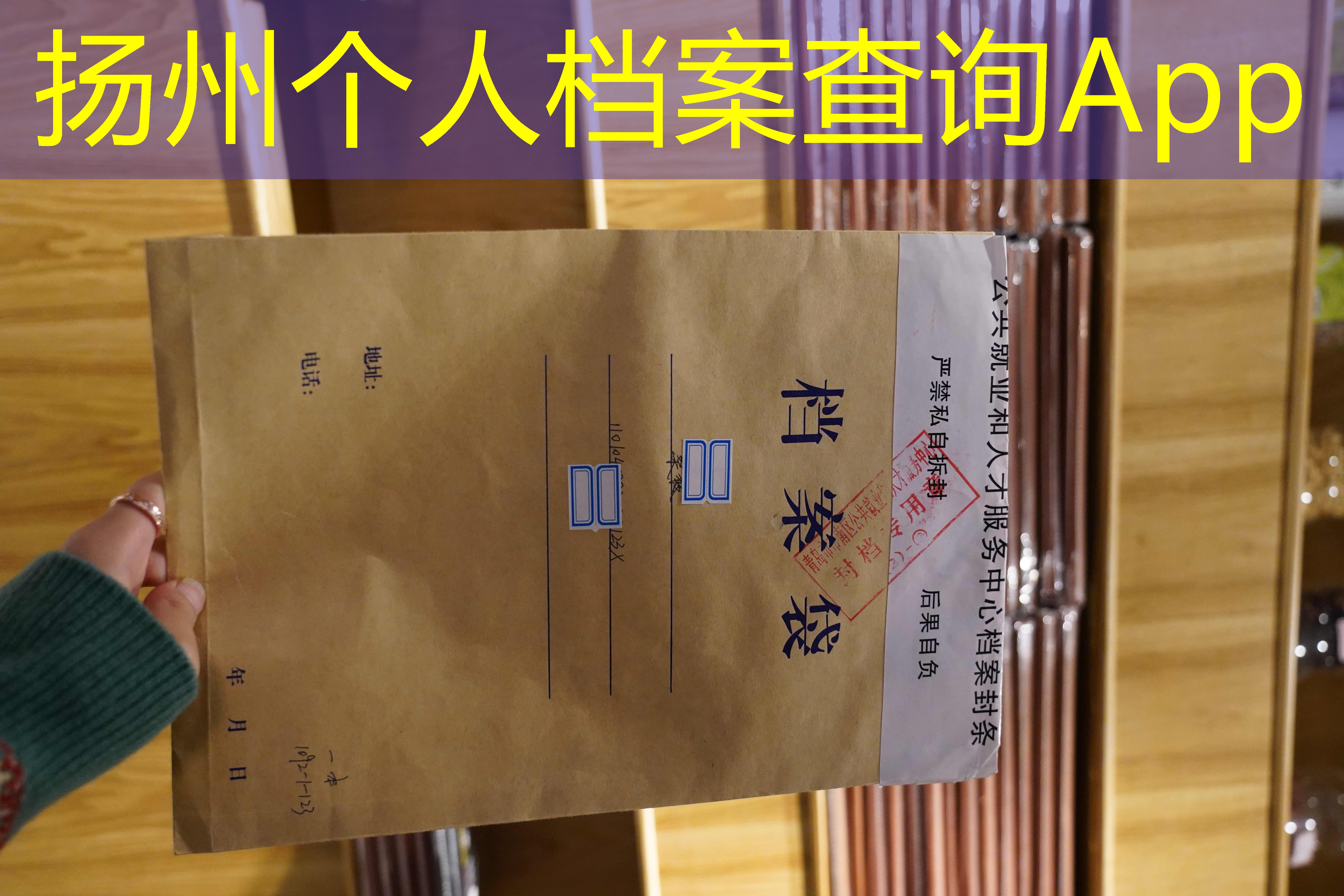档案查询