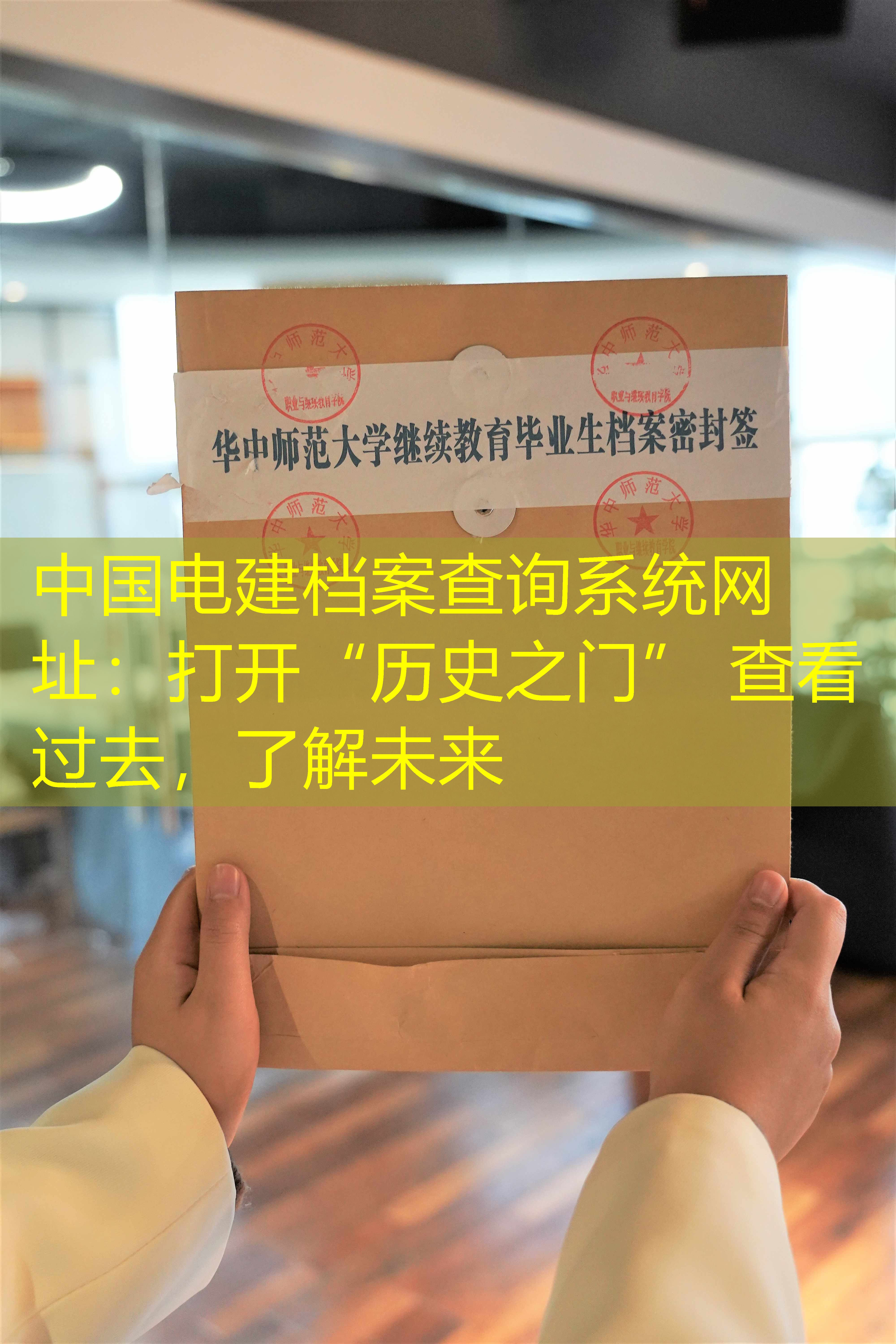 档案查询