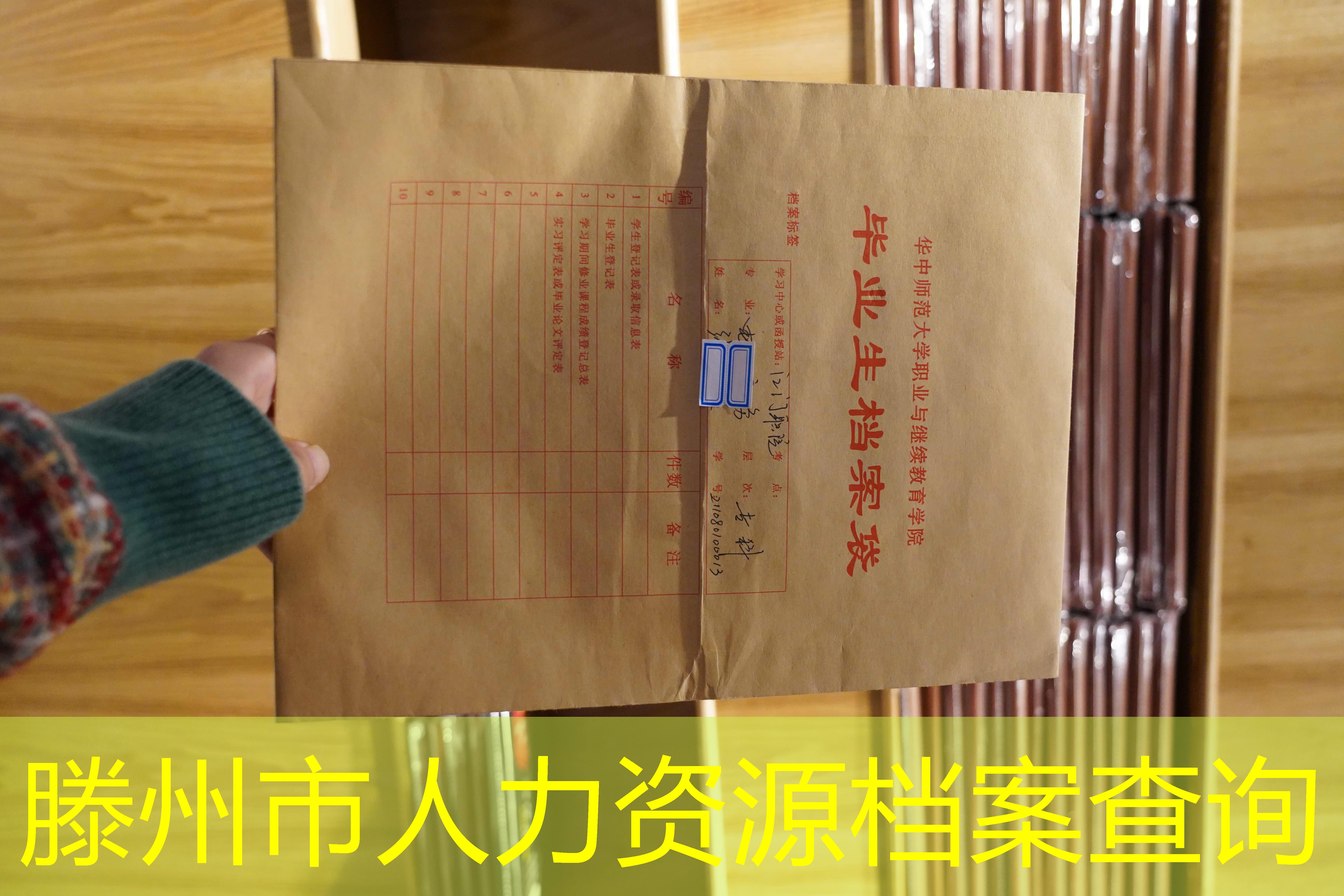 档案查询