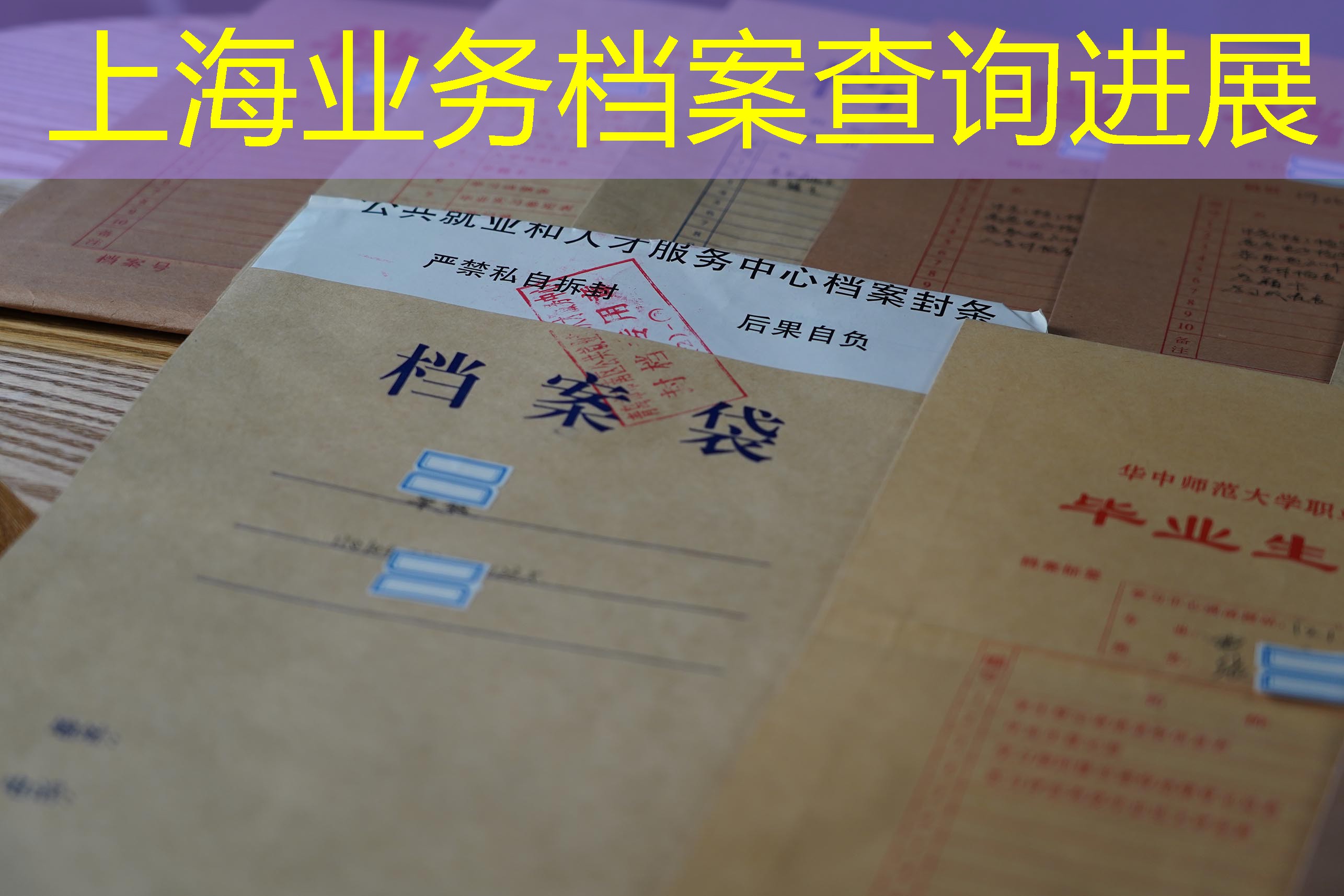 档案查询
