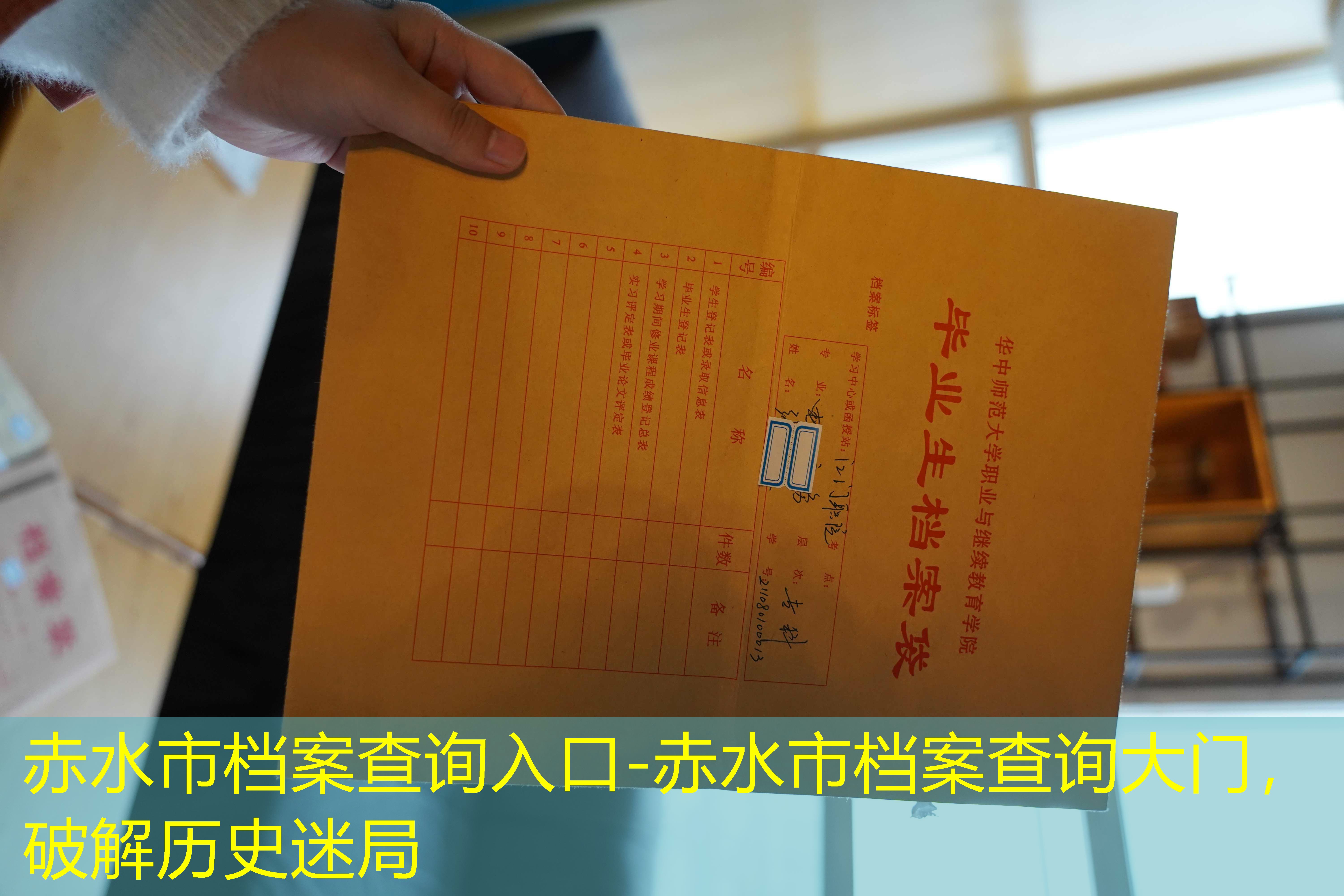 档案查询