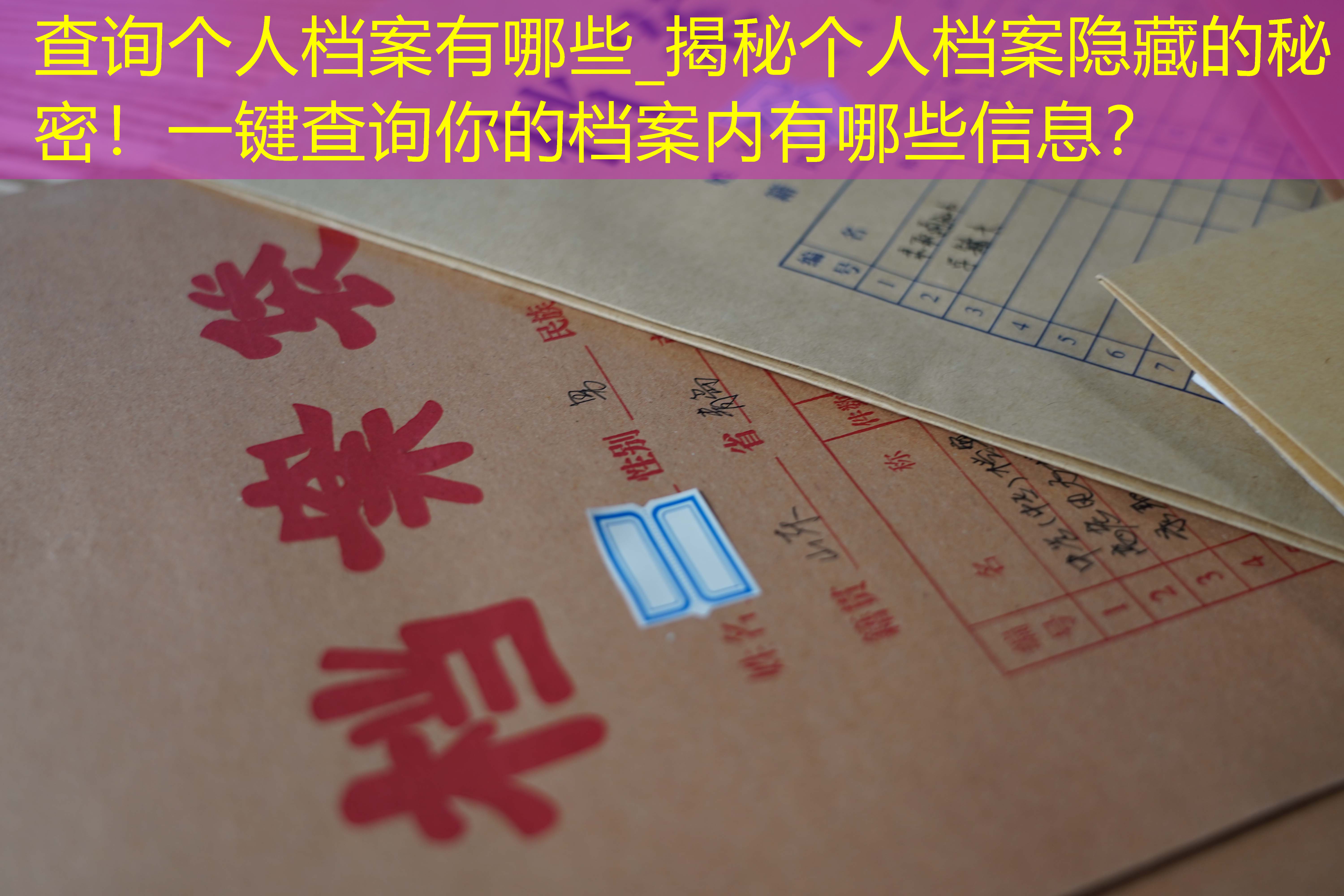 档案查询
