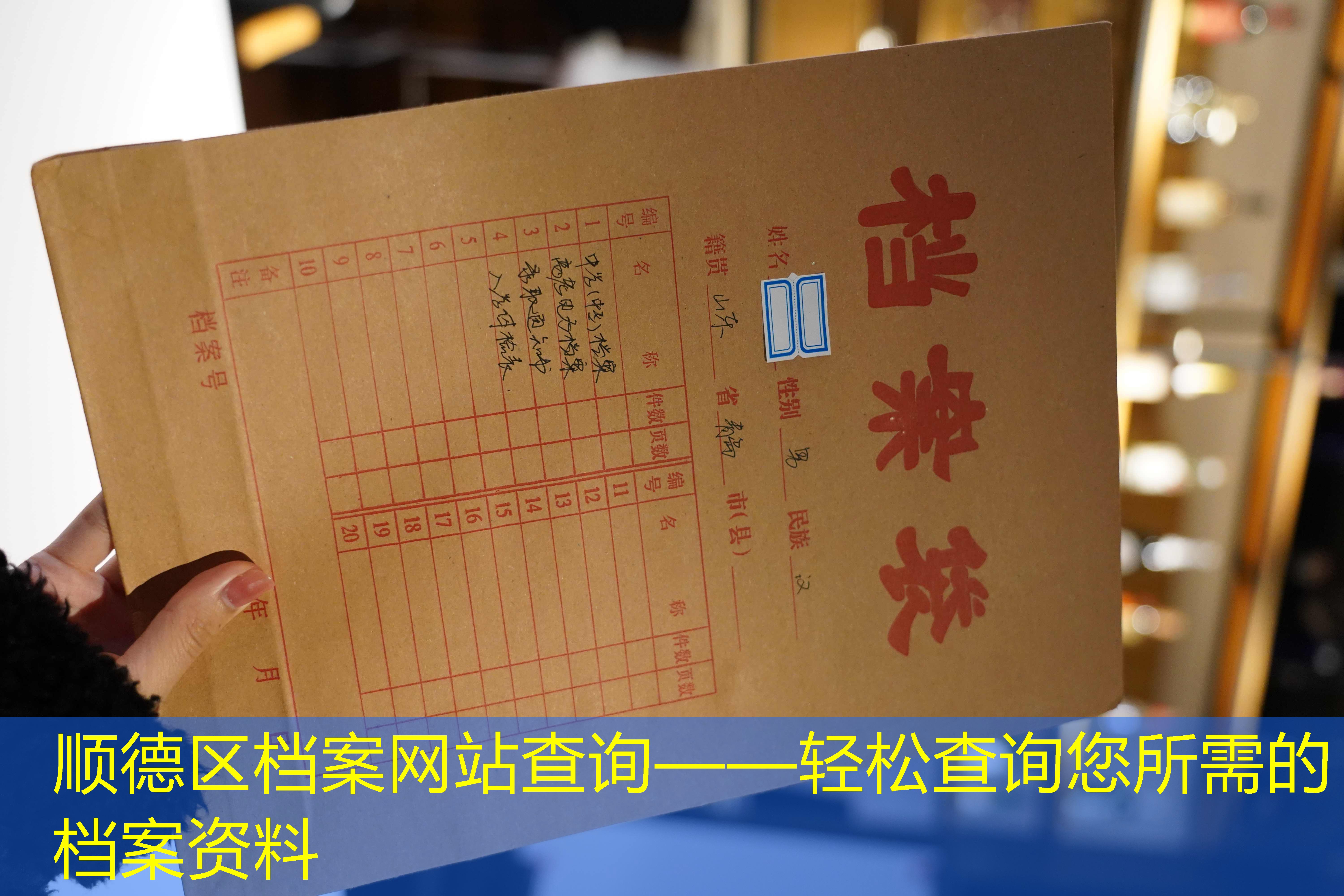 档案查询