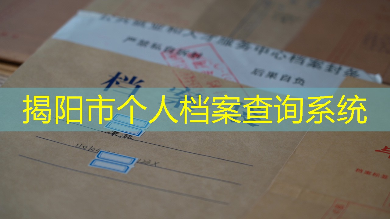档案查询
