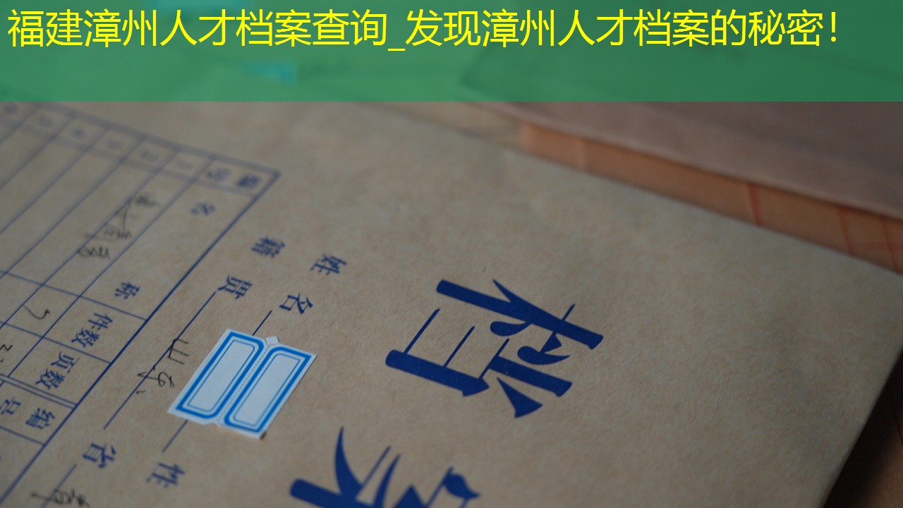 档案查询
