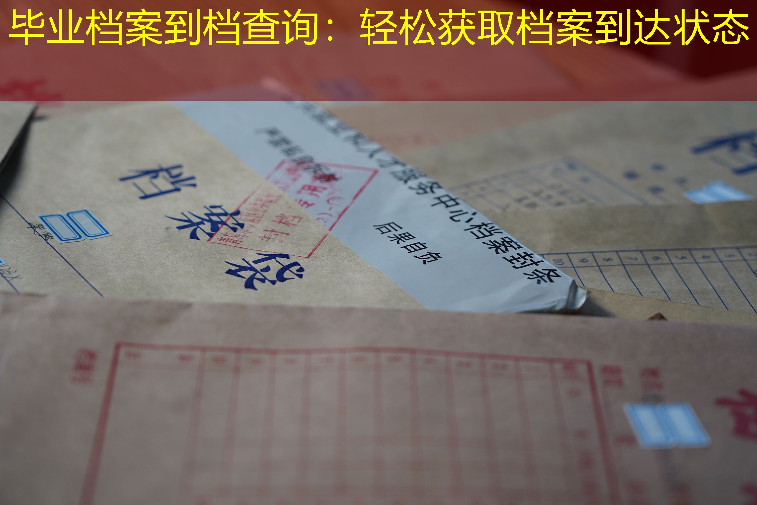 档案查询