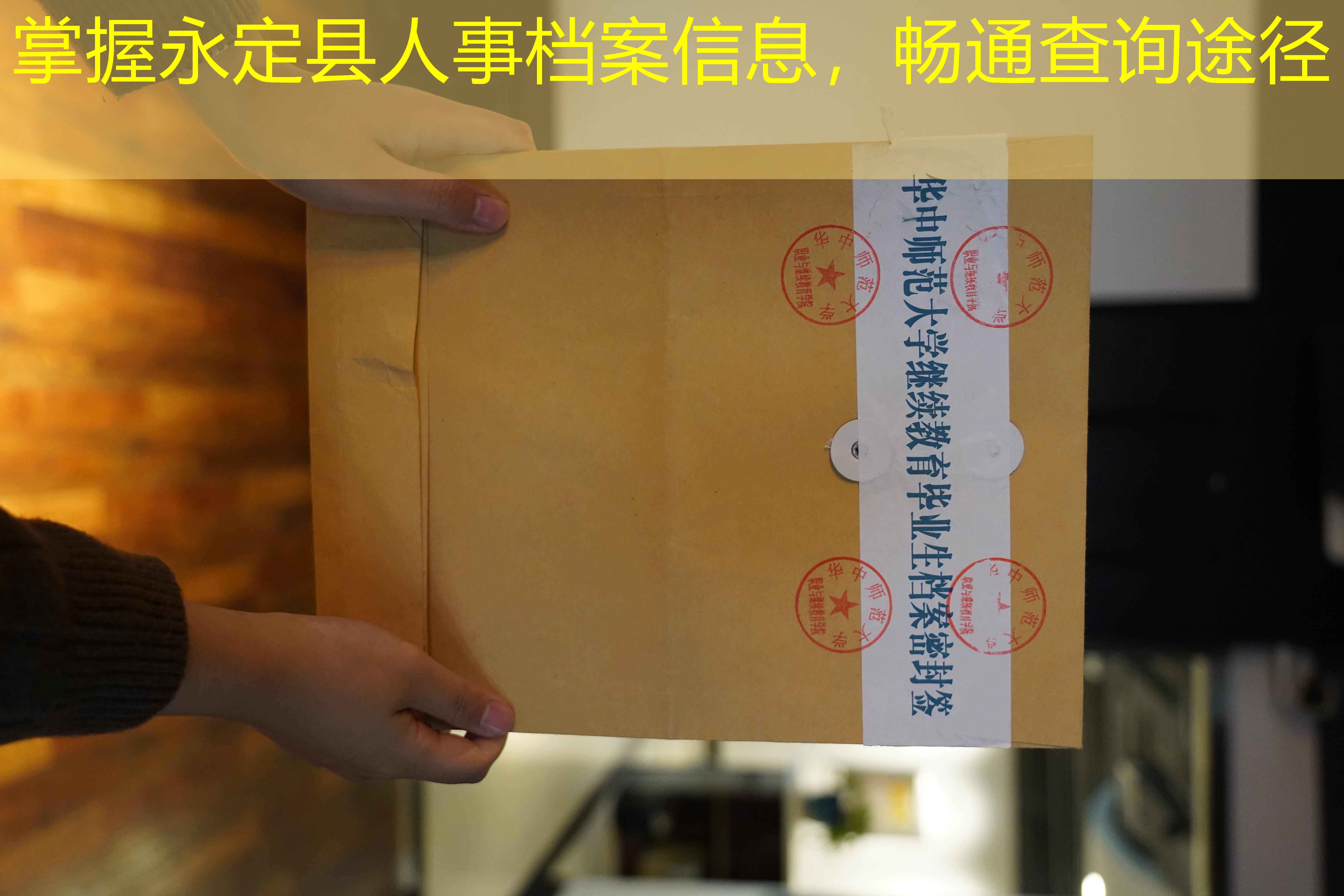档案查询
