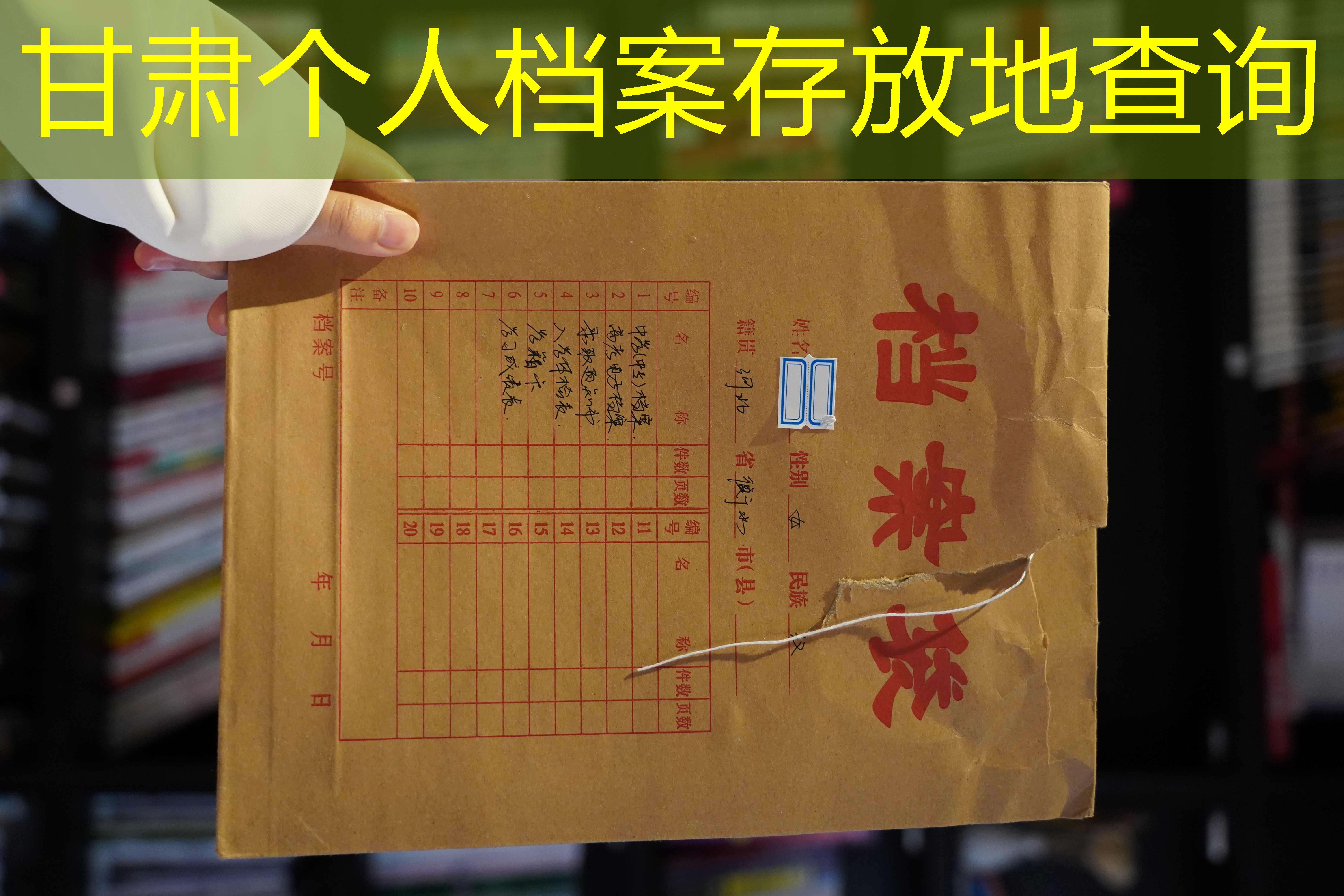 档案查询