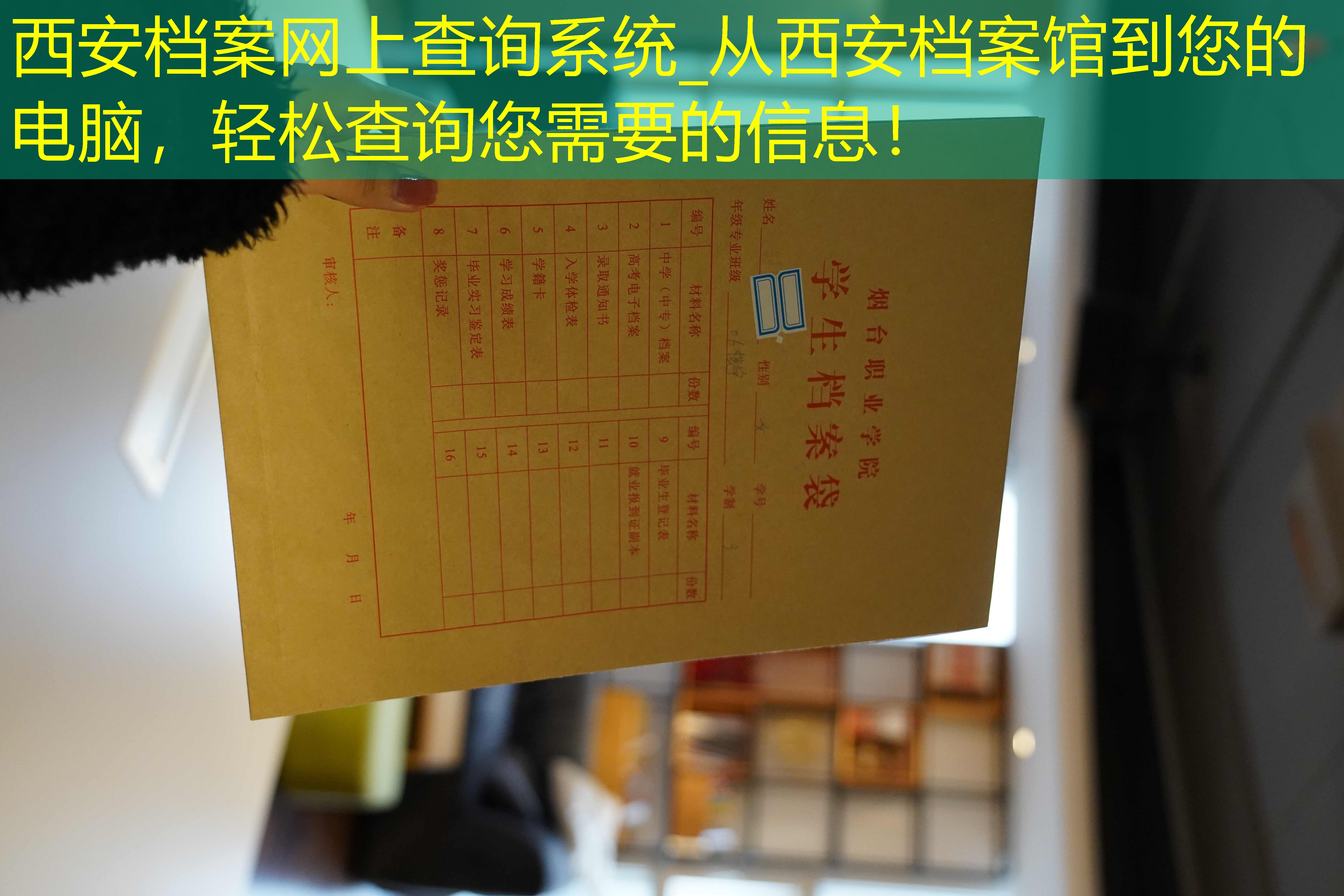 档案查询