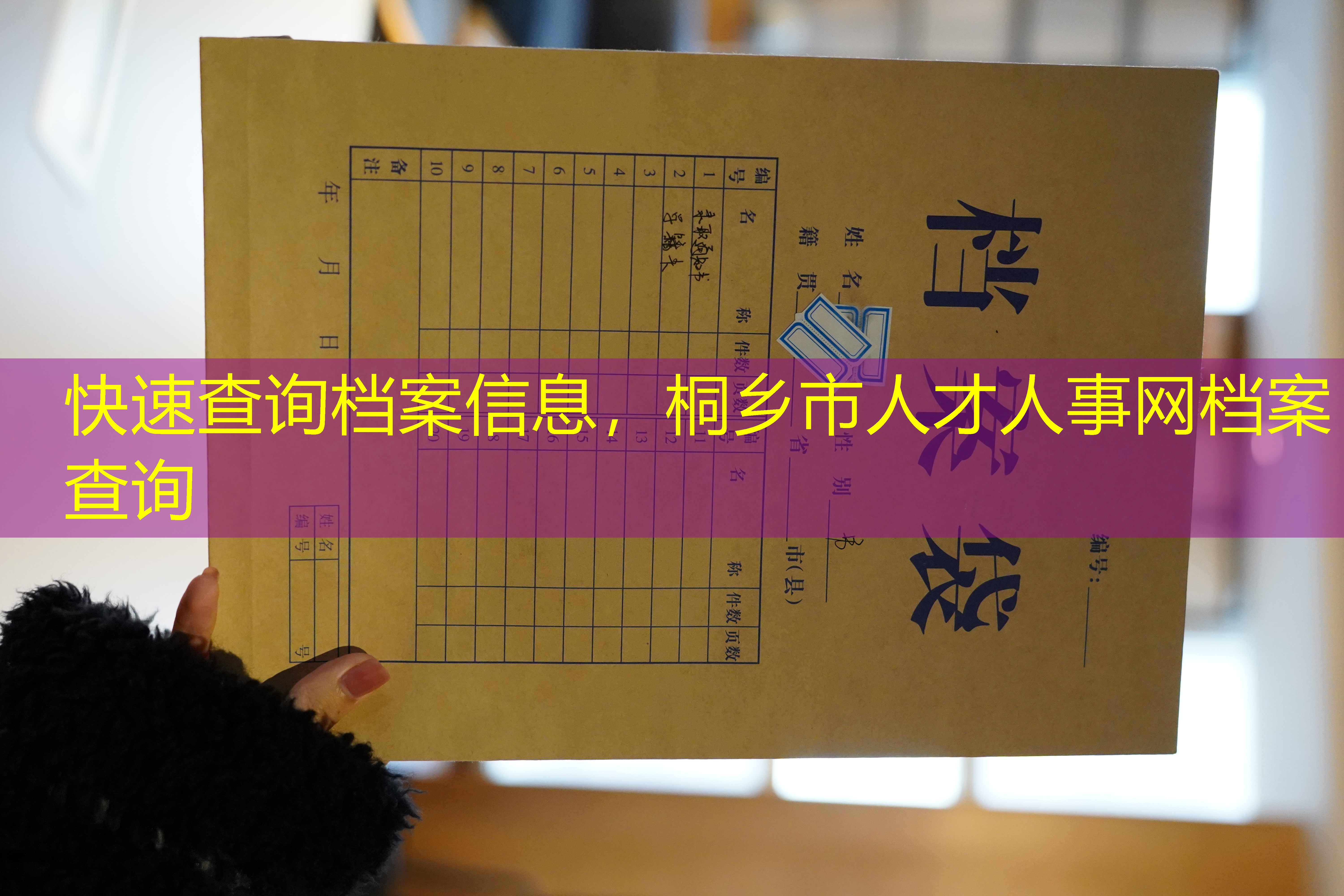 档案查询