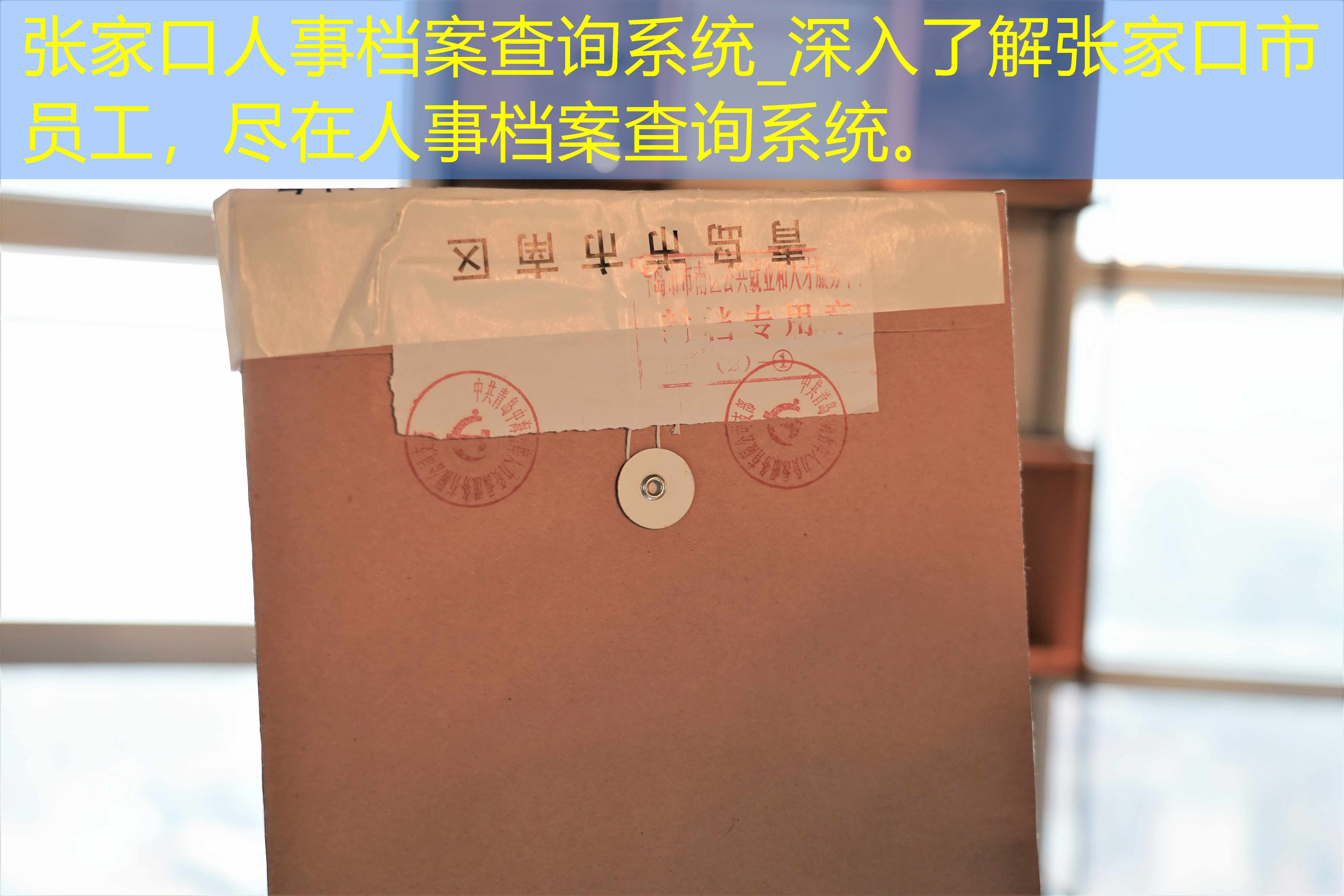 档案查询