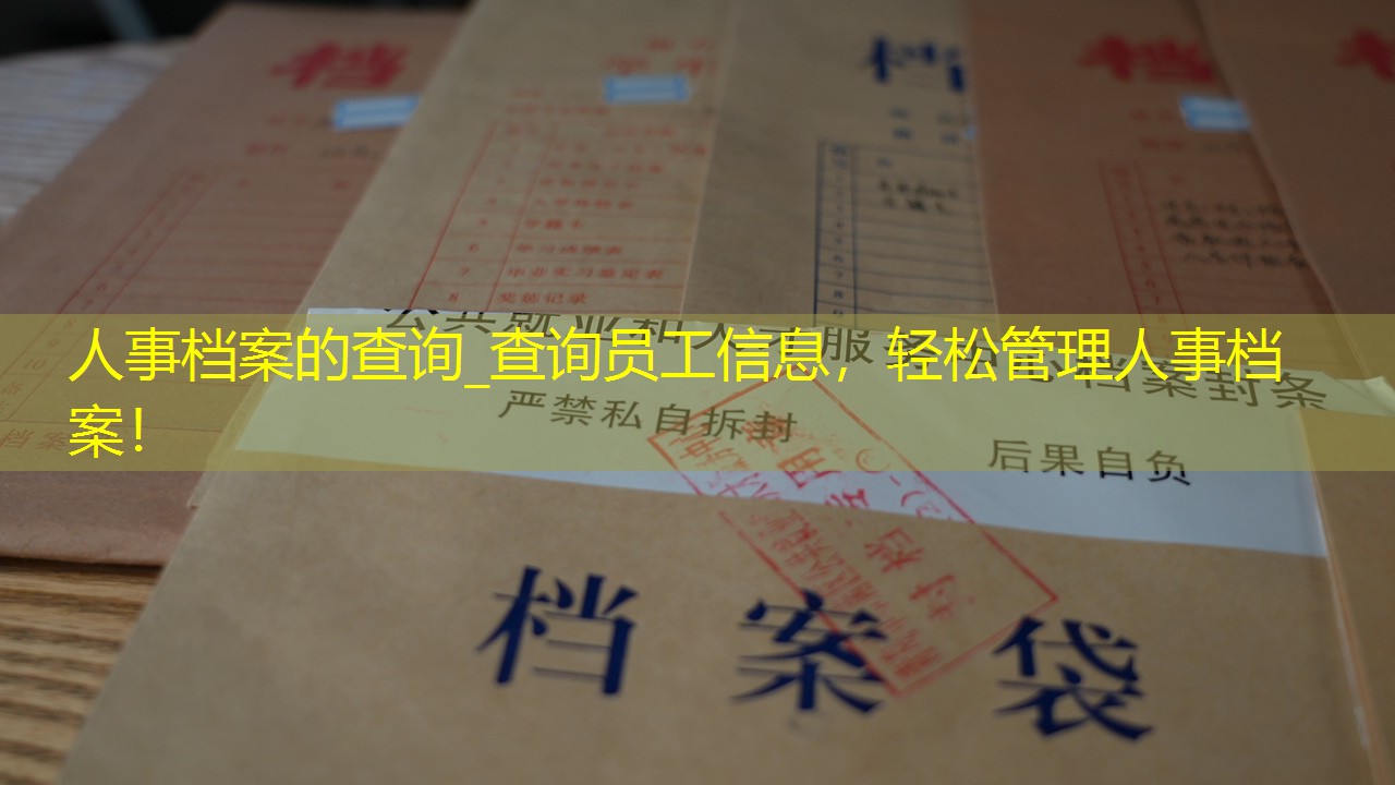 档案查询