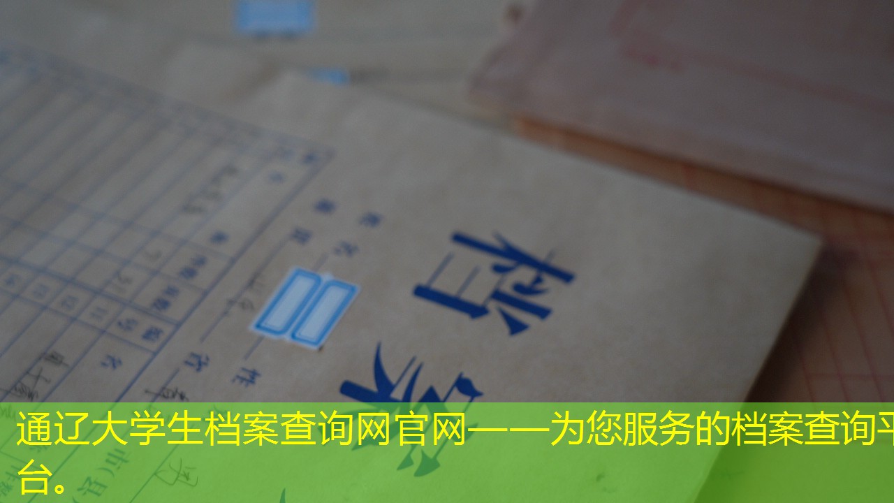 档案查询