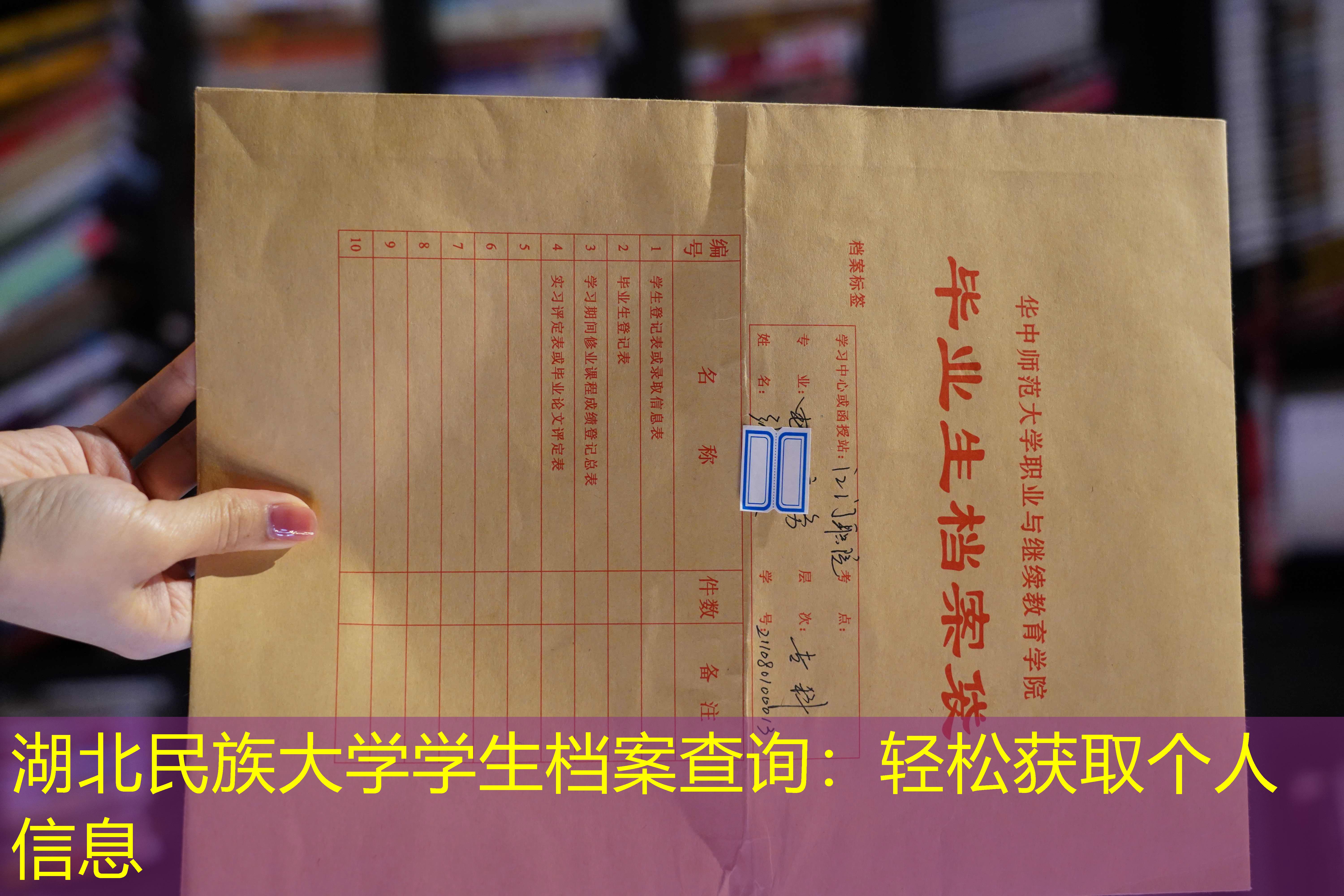 档案查询