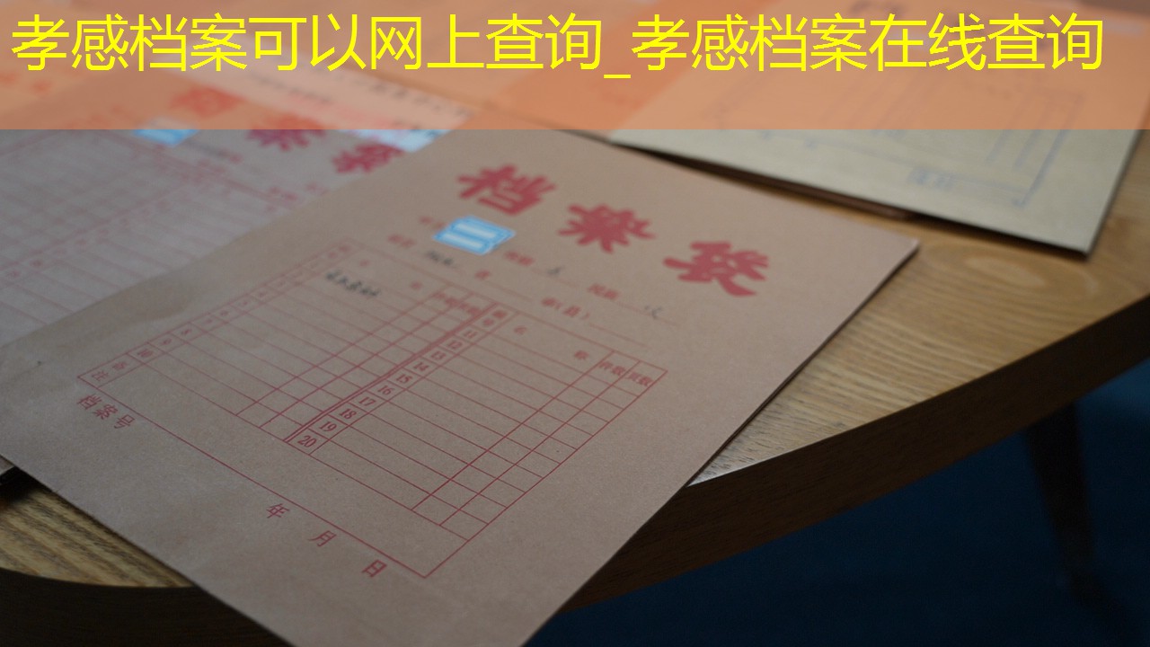 档案查询