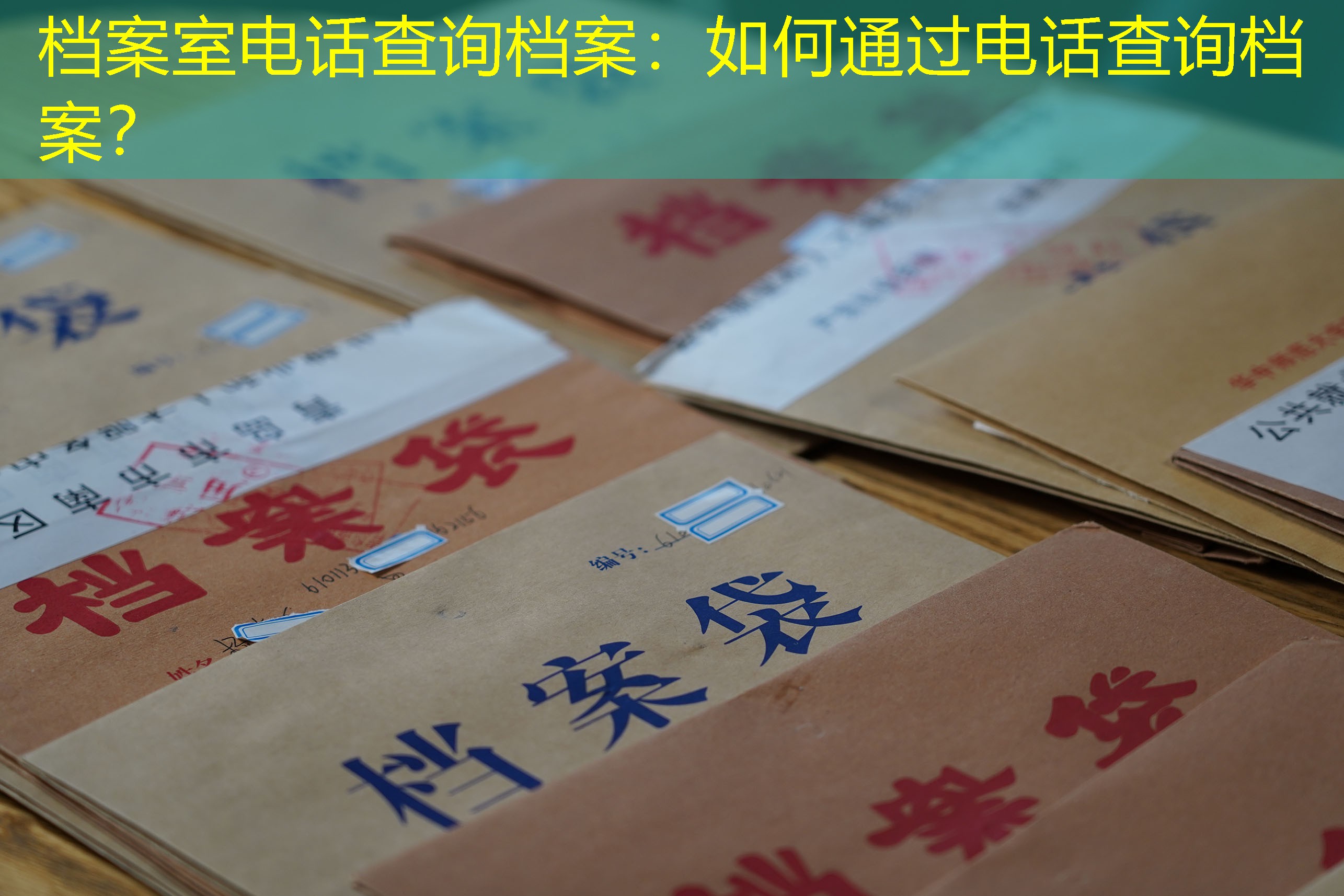 档案查询